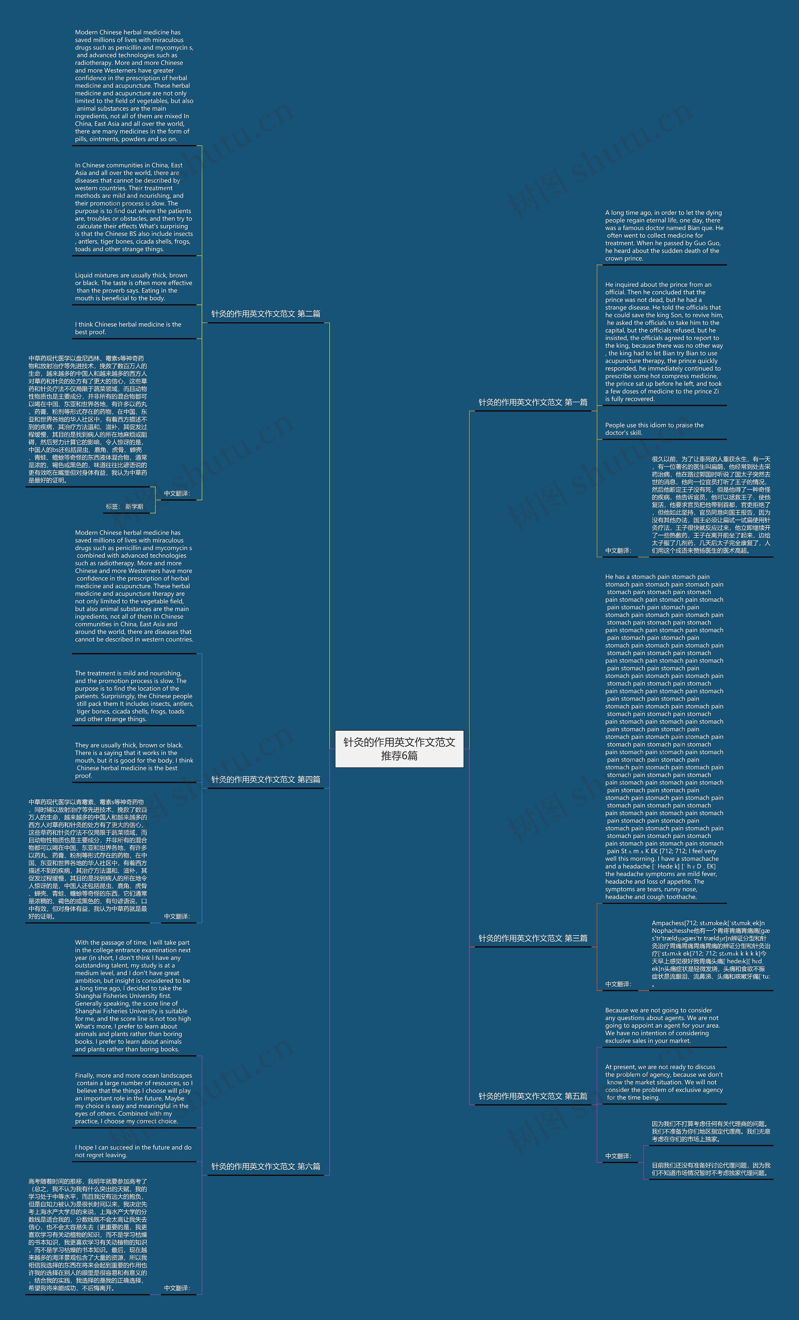 针灸的作用英文作文范文推荐6篇思维导图