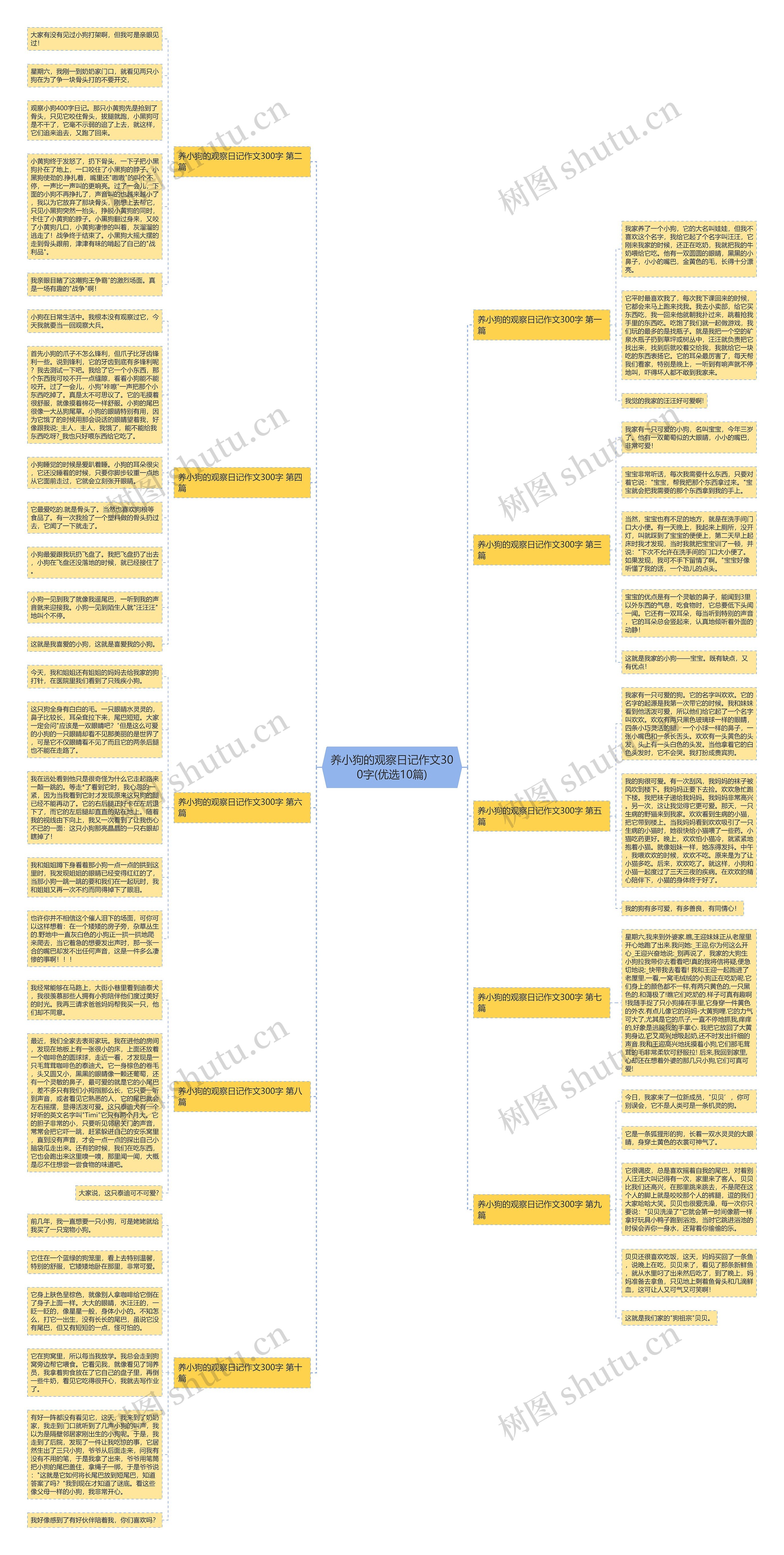 养小狗的观察日记作文300字(优选10篇)思维导图