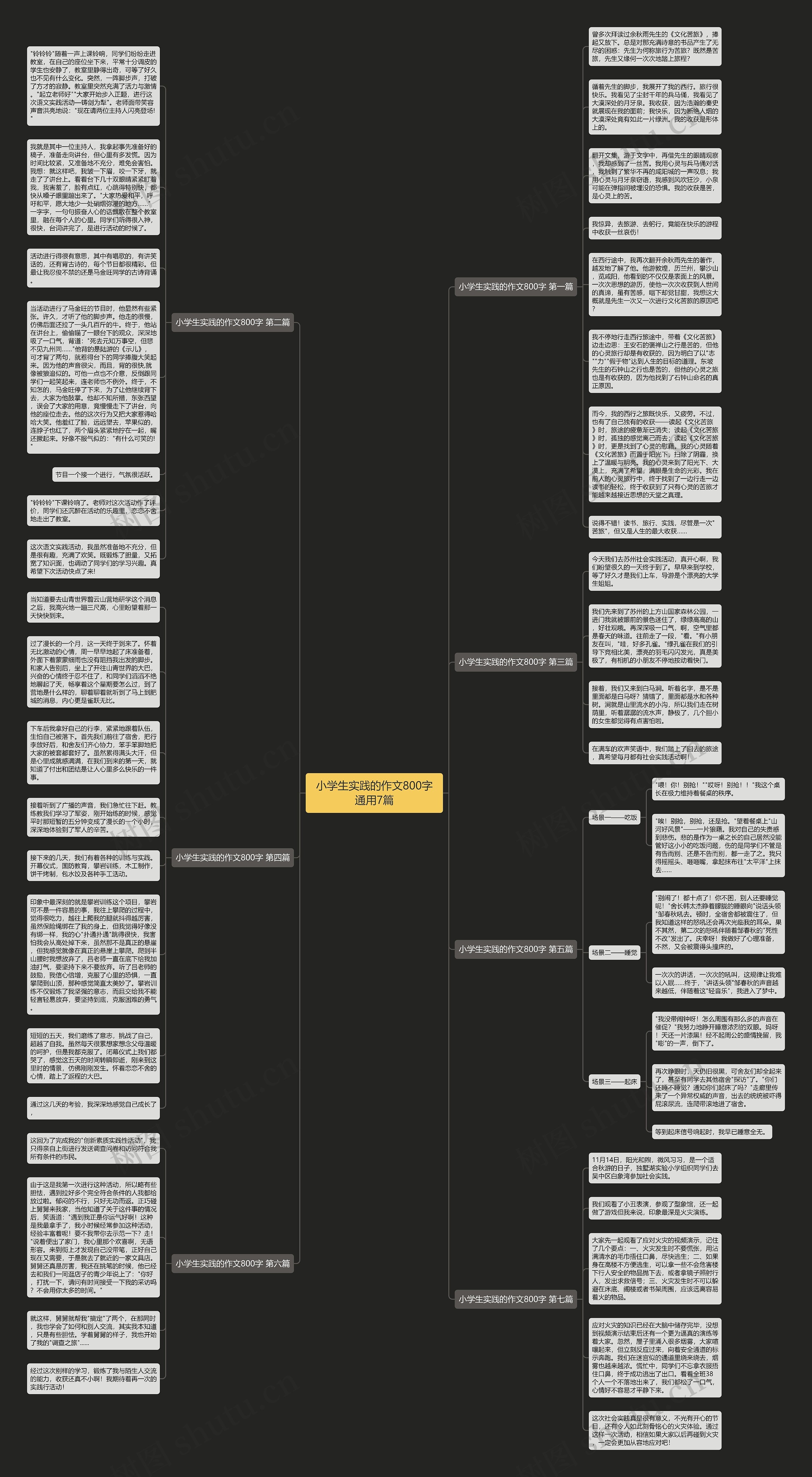 小学生实践的作文800字通用7篇思维导图