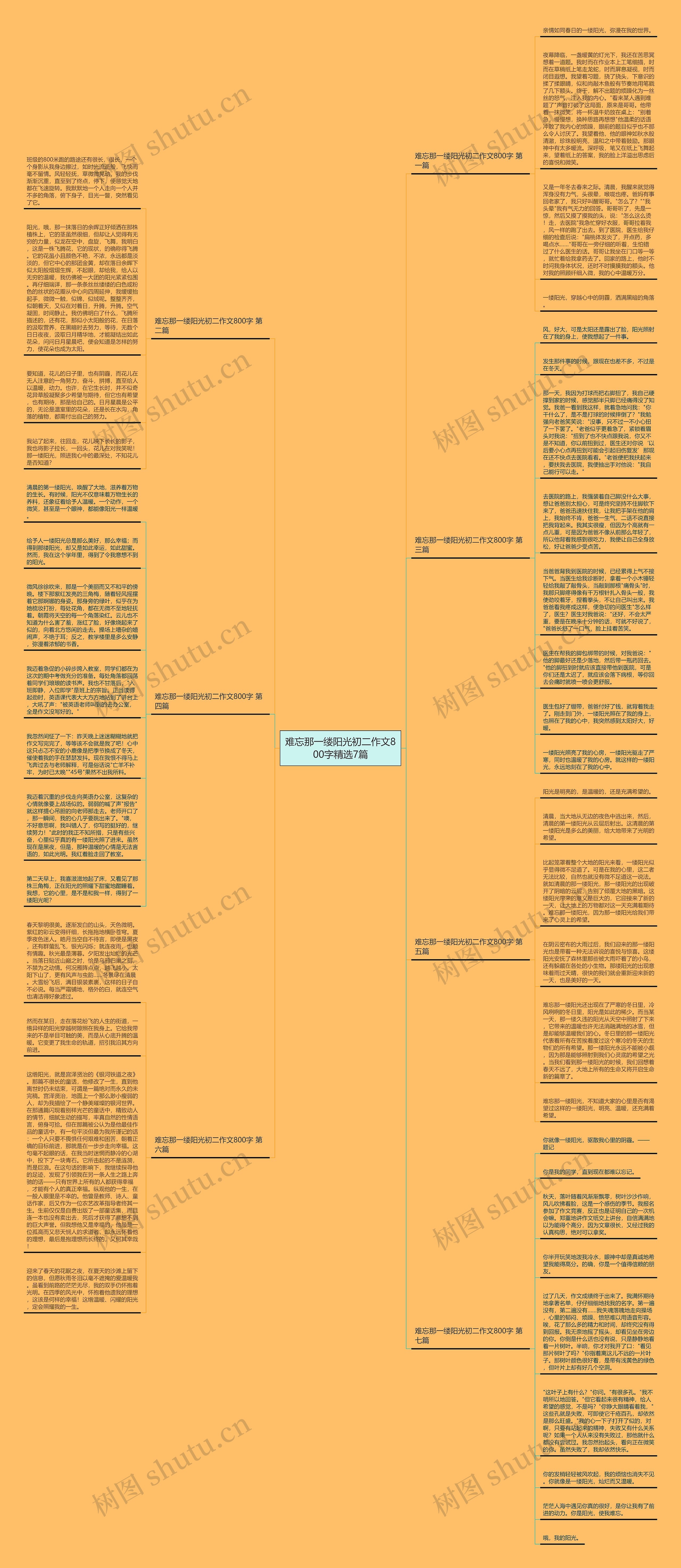 难忘那一缕阳光初二作文800字精选7篇思维导图