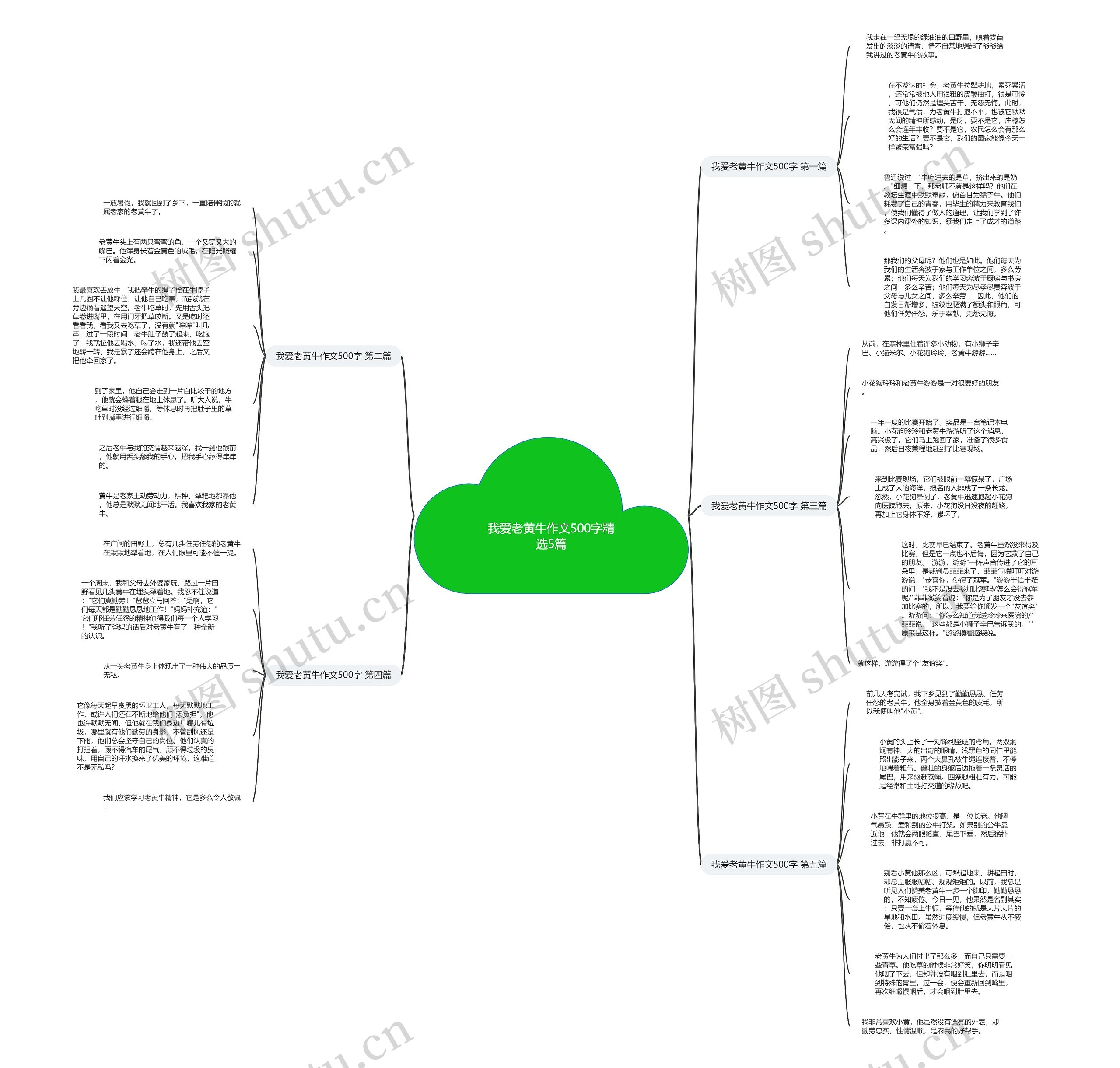 我爱老黄牛作文500字精选5篇思维导图