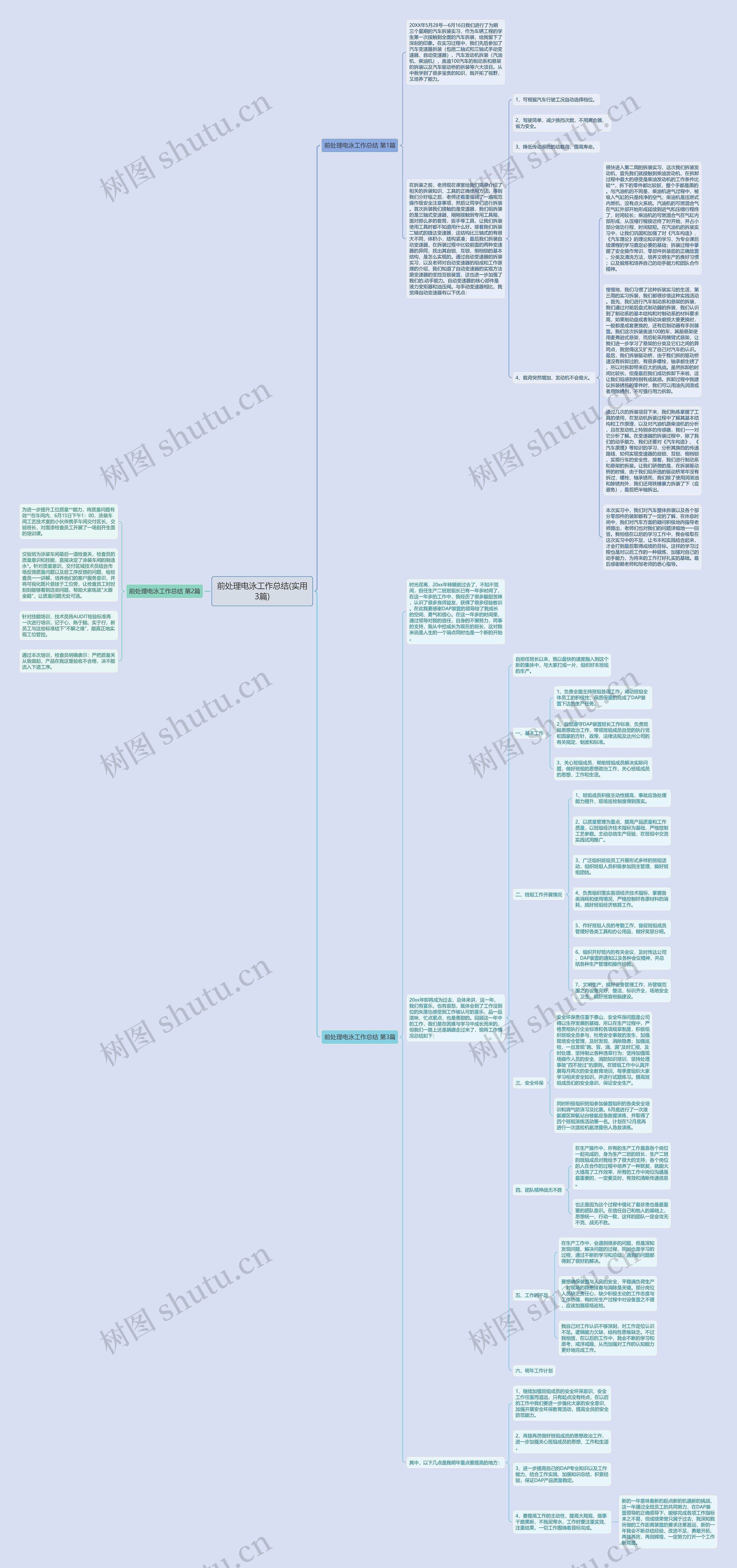 前处理电泳工作总结(实用3篇)思维导图