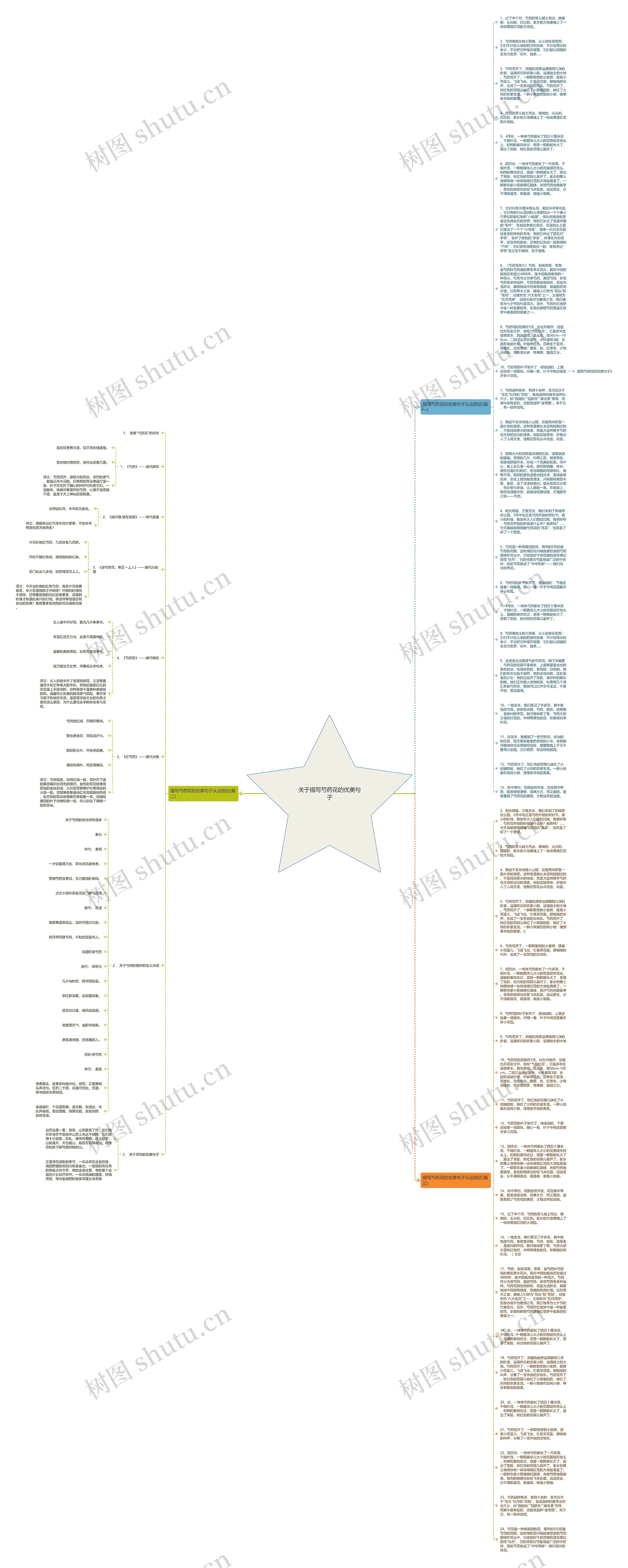 关于描写芍药花的优美句子思维导图