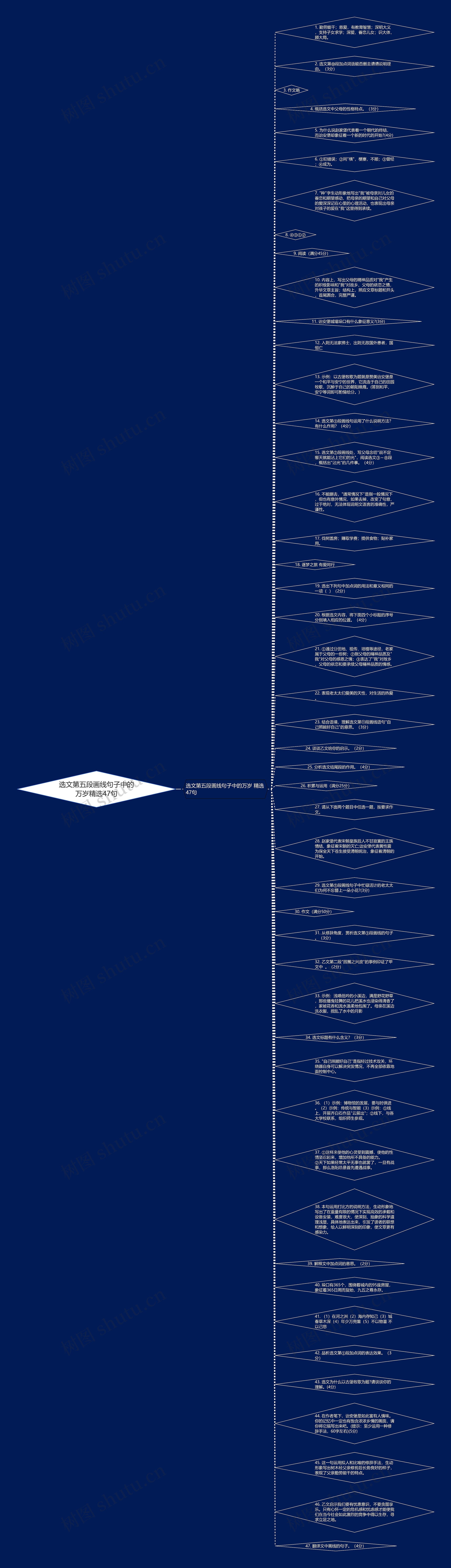 选文第五段画线句子中的万岁精选47句思维导图