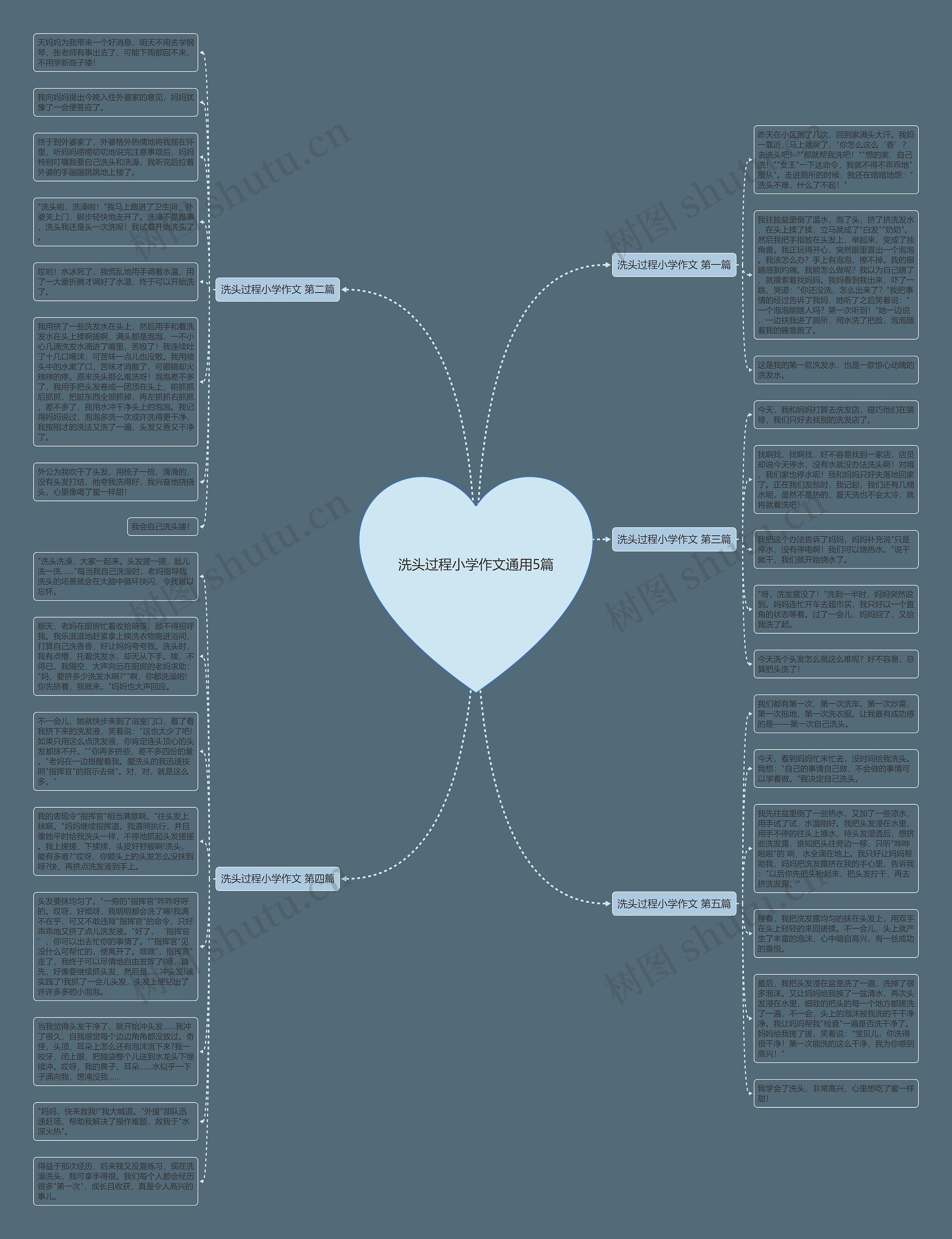 洗头过程小学作文通用5篇思维导图