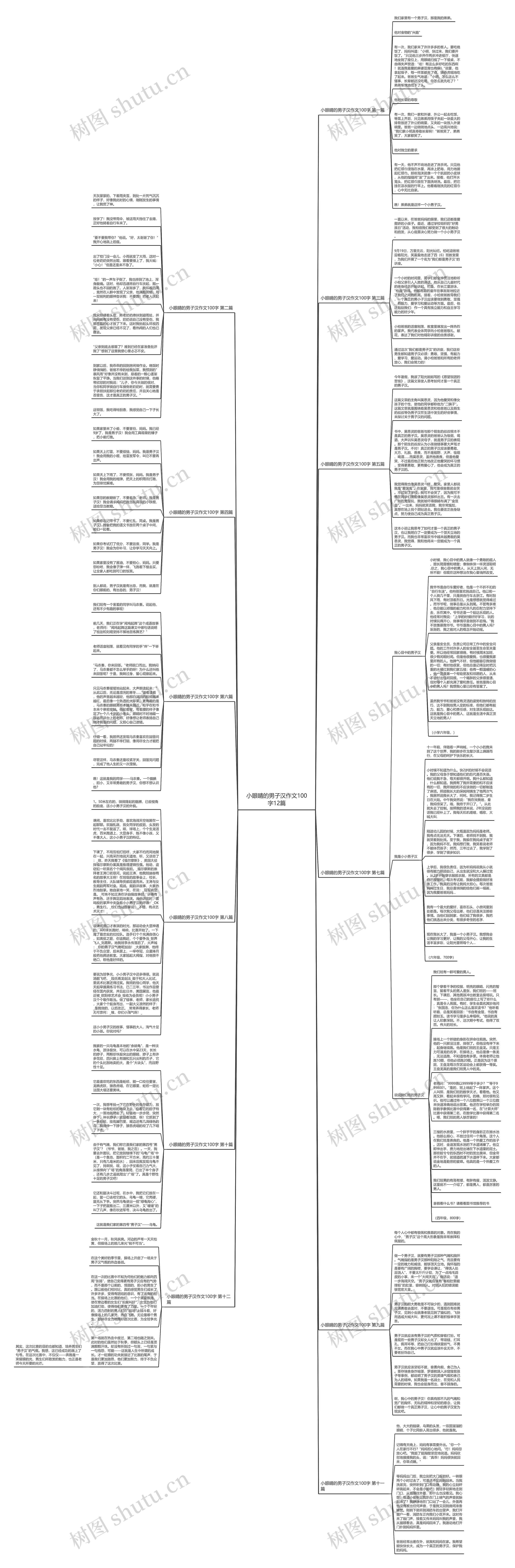 小眼睛的男子汉作文100字12篇思维导图