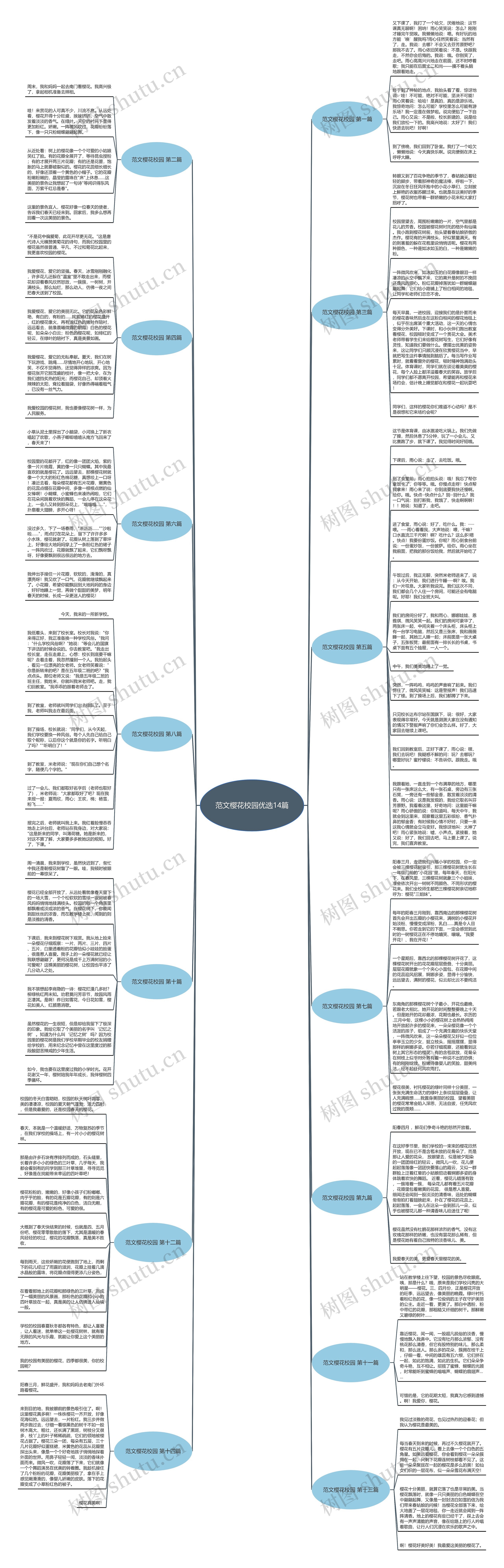 范文樱花校园优选14篇思维导图