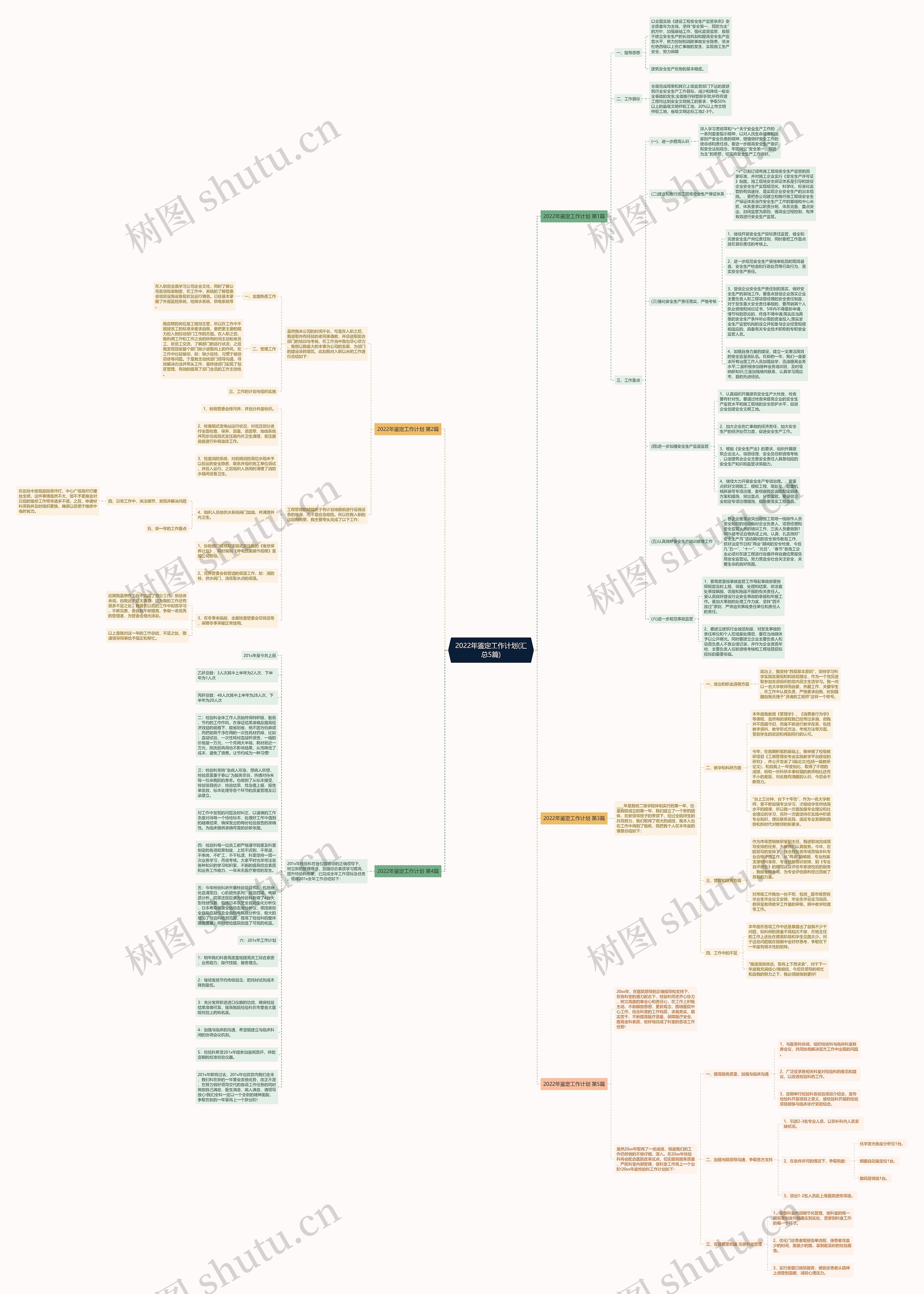 2022年鉴定工作计划(汇总5篇)思维导图
