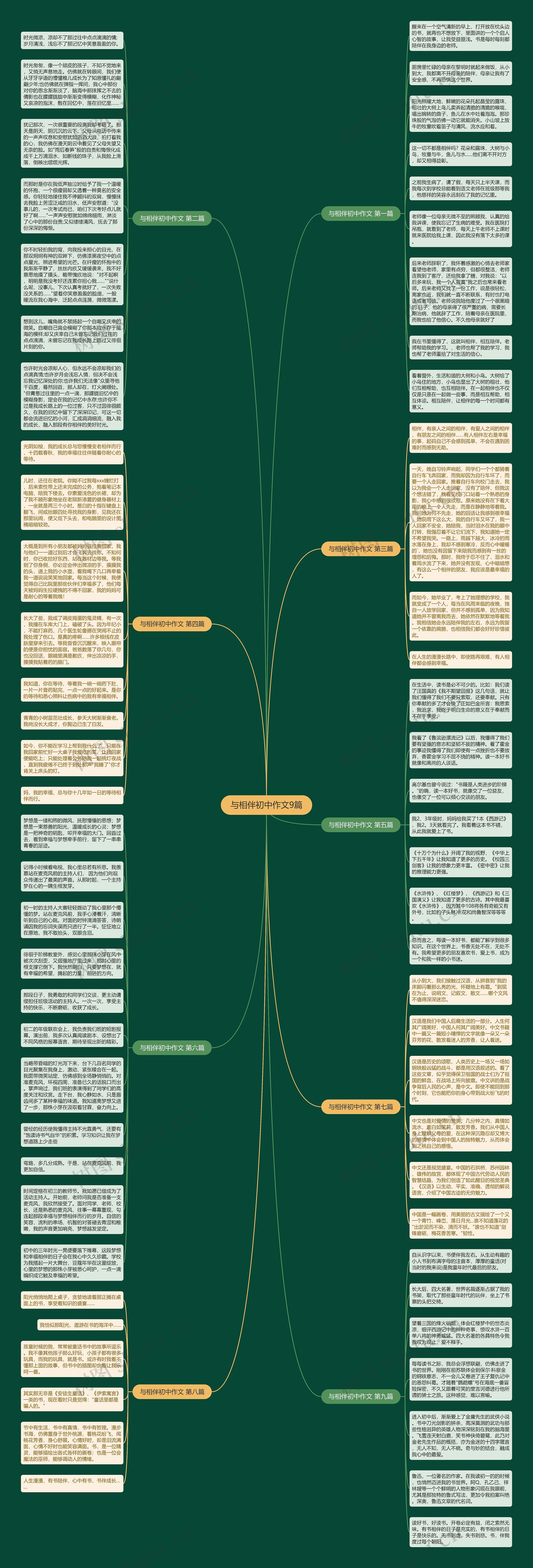 与相伴初中作文9篇思维导图
