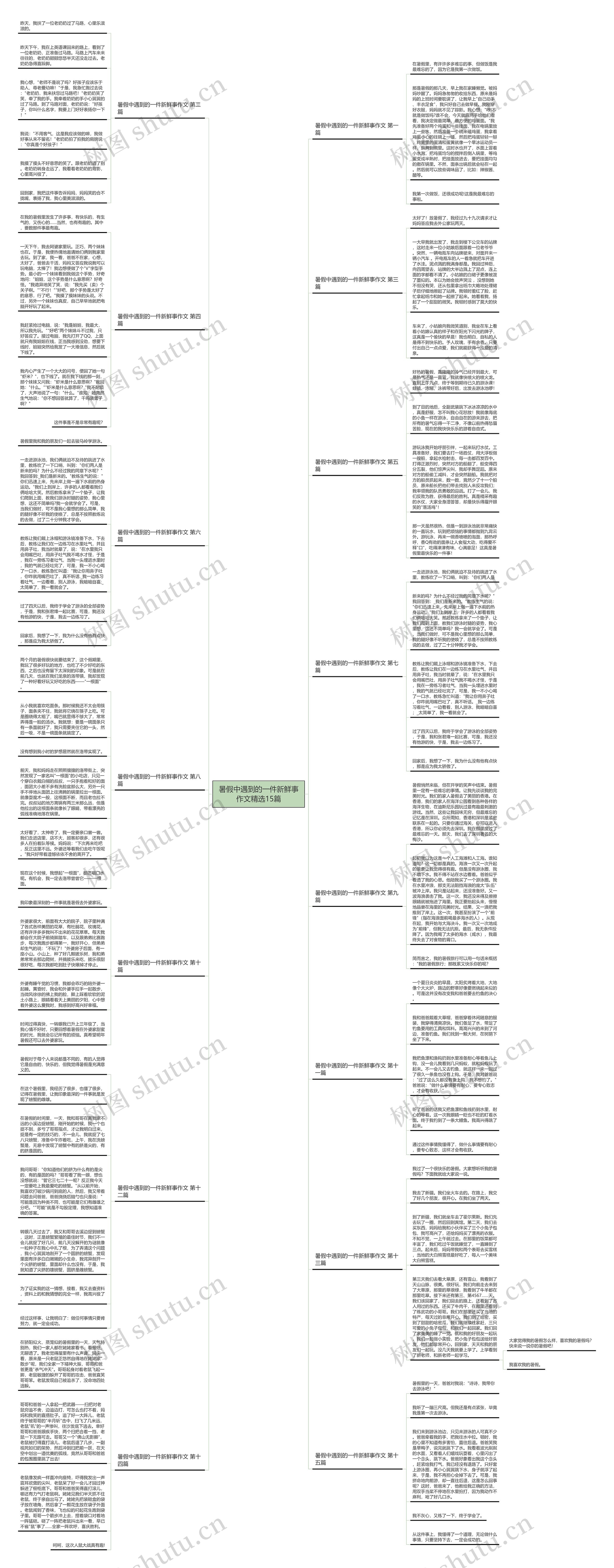 暑假中遇到的一件新鲜事作文精选15篇思维导图