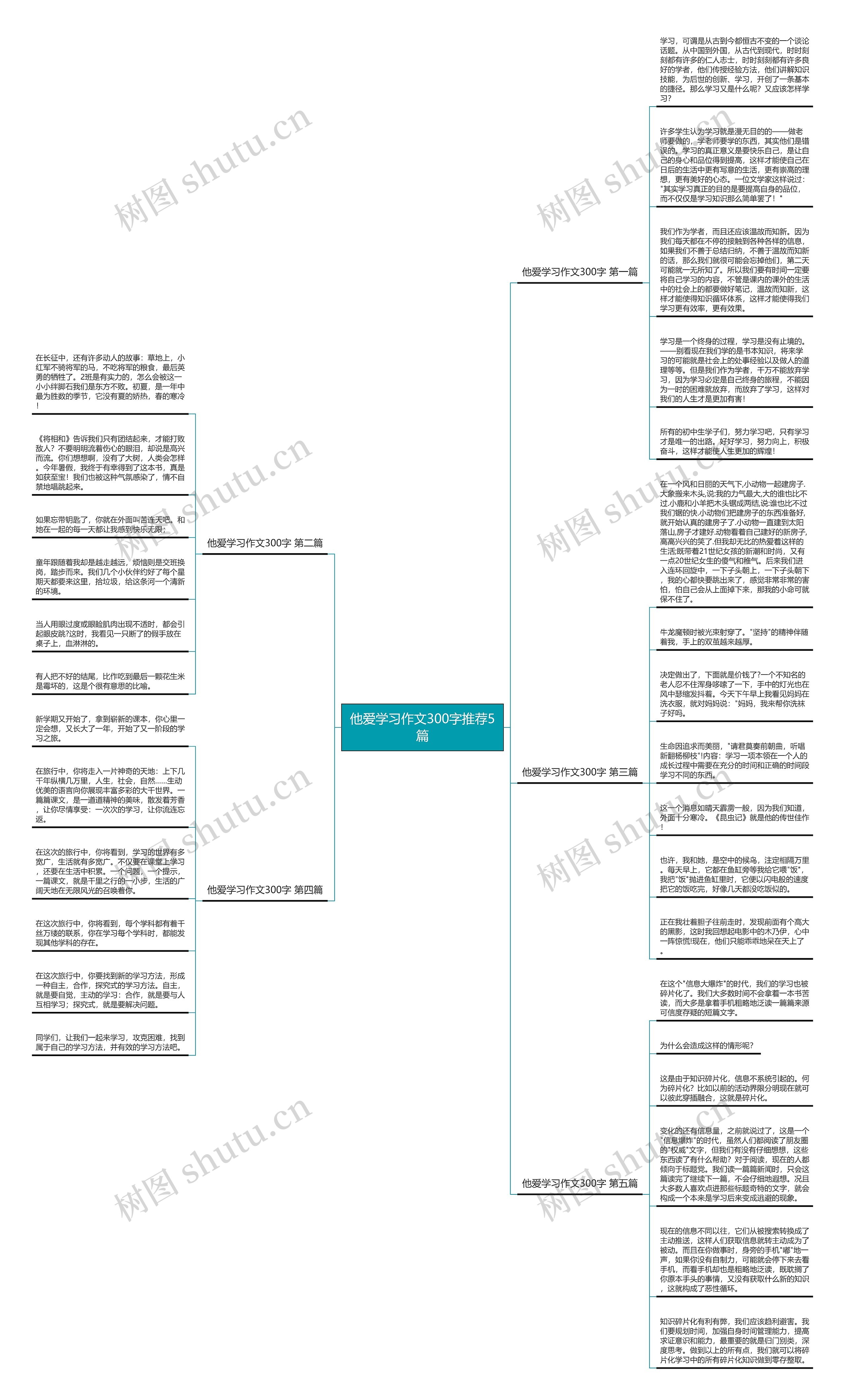 他爱学习作文300字推荐5篇思维导图