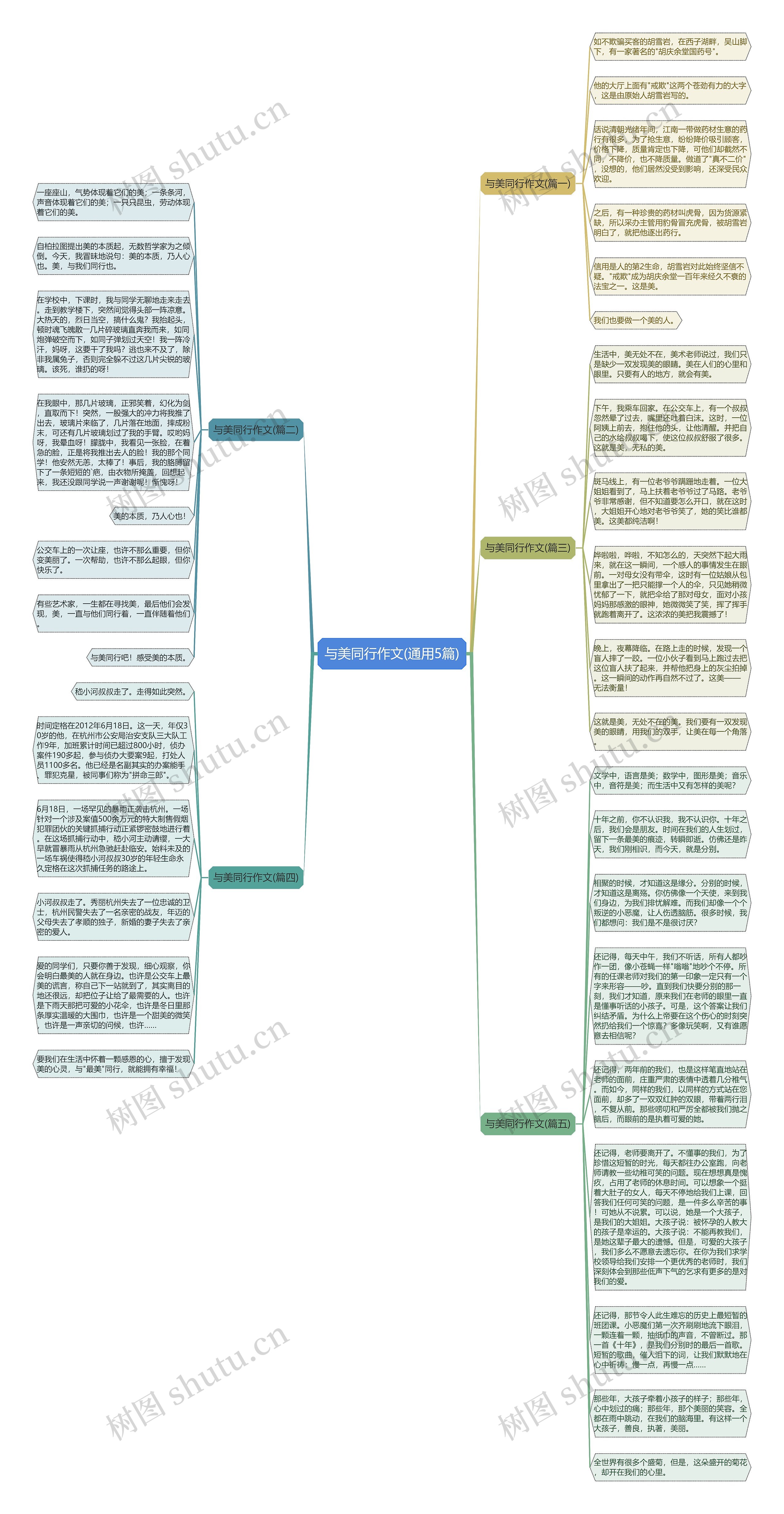 与美同行作文(通用5篇)思维导图