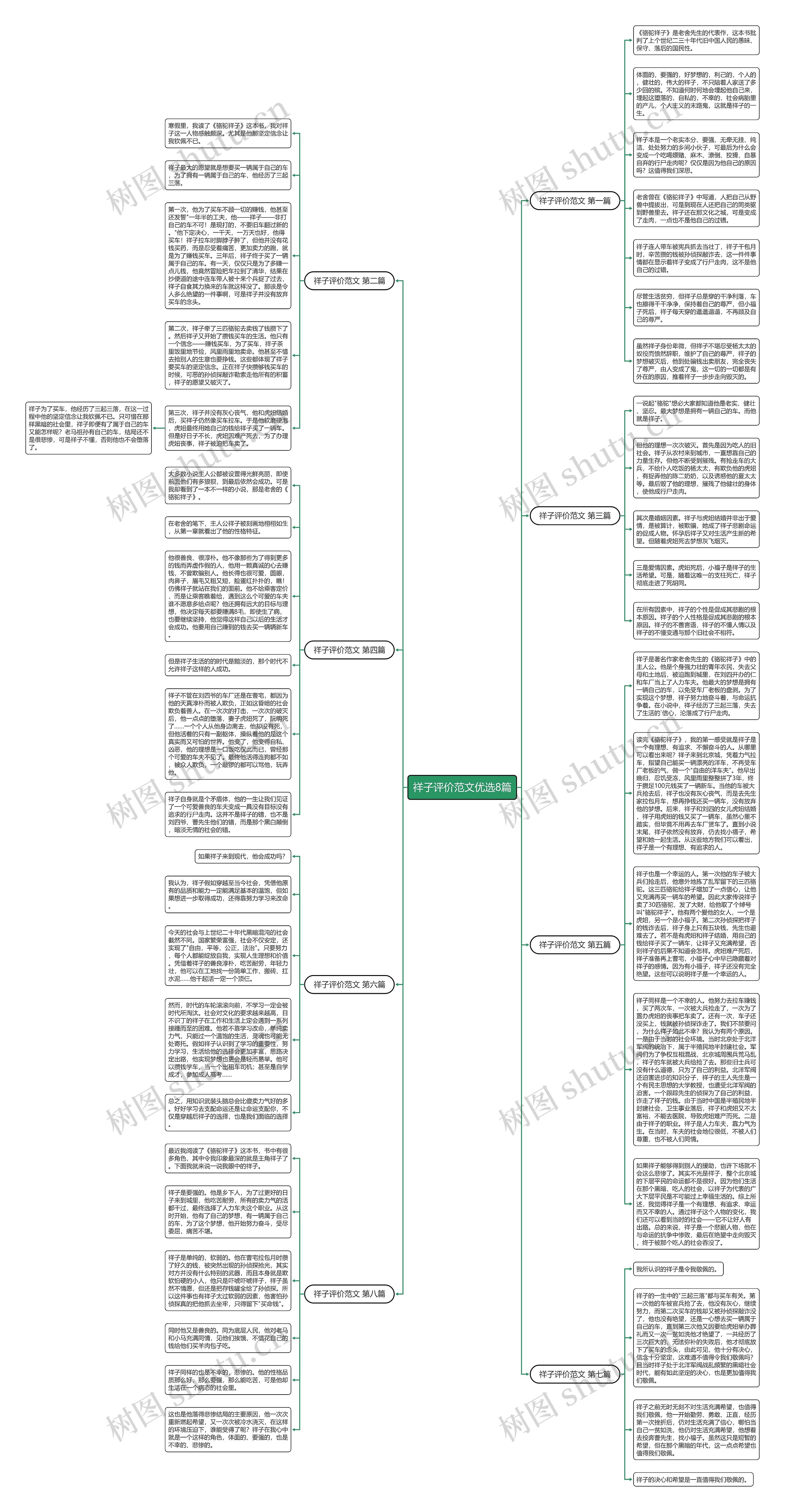 祥子评价范文优选8篇思维导图