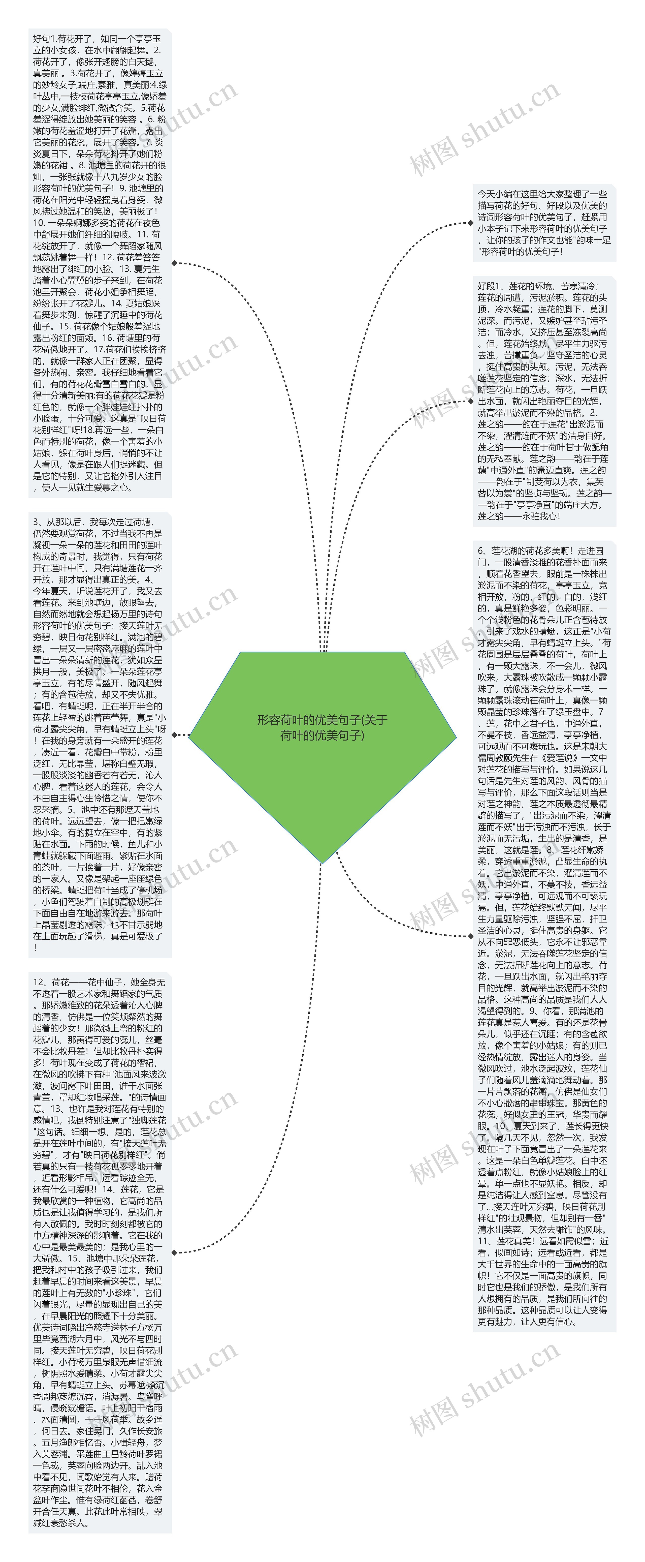 形容荷叶的优美句子(关于荷叶的优美句子)