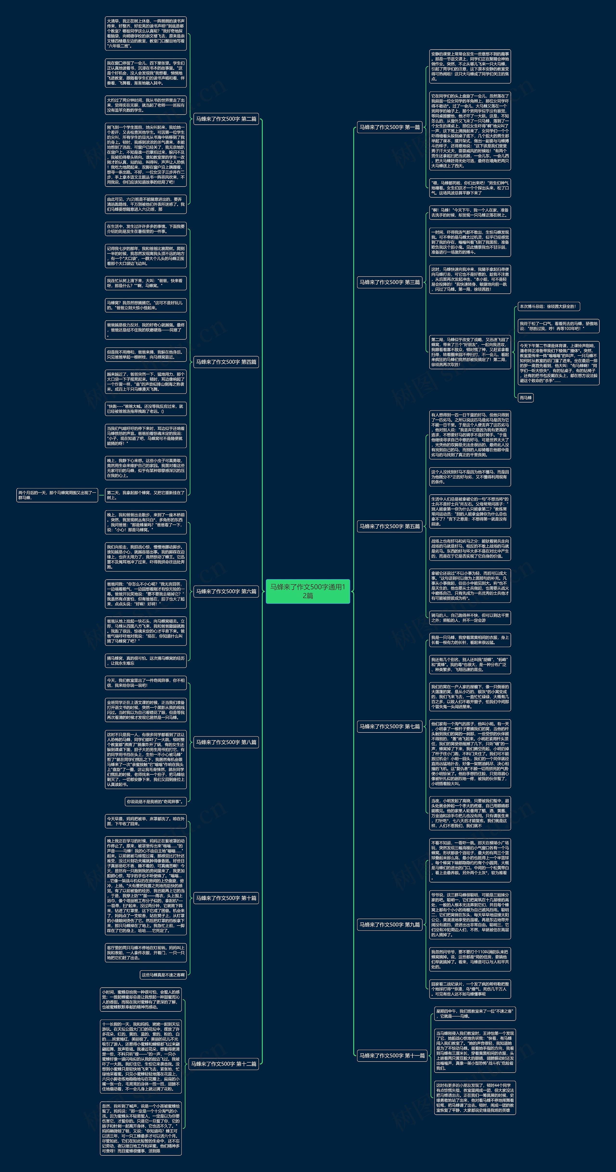 马蜂来了作文500字通用12篇思维导图