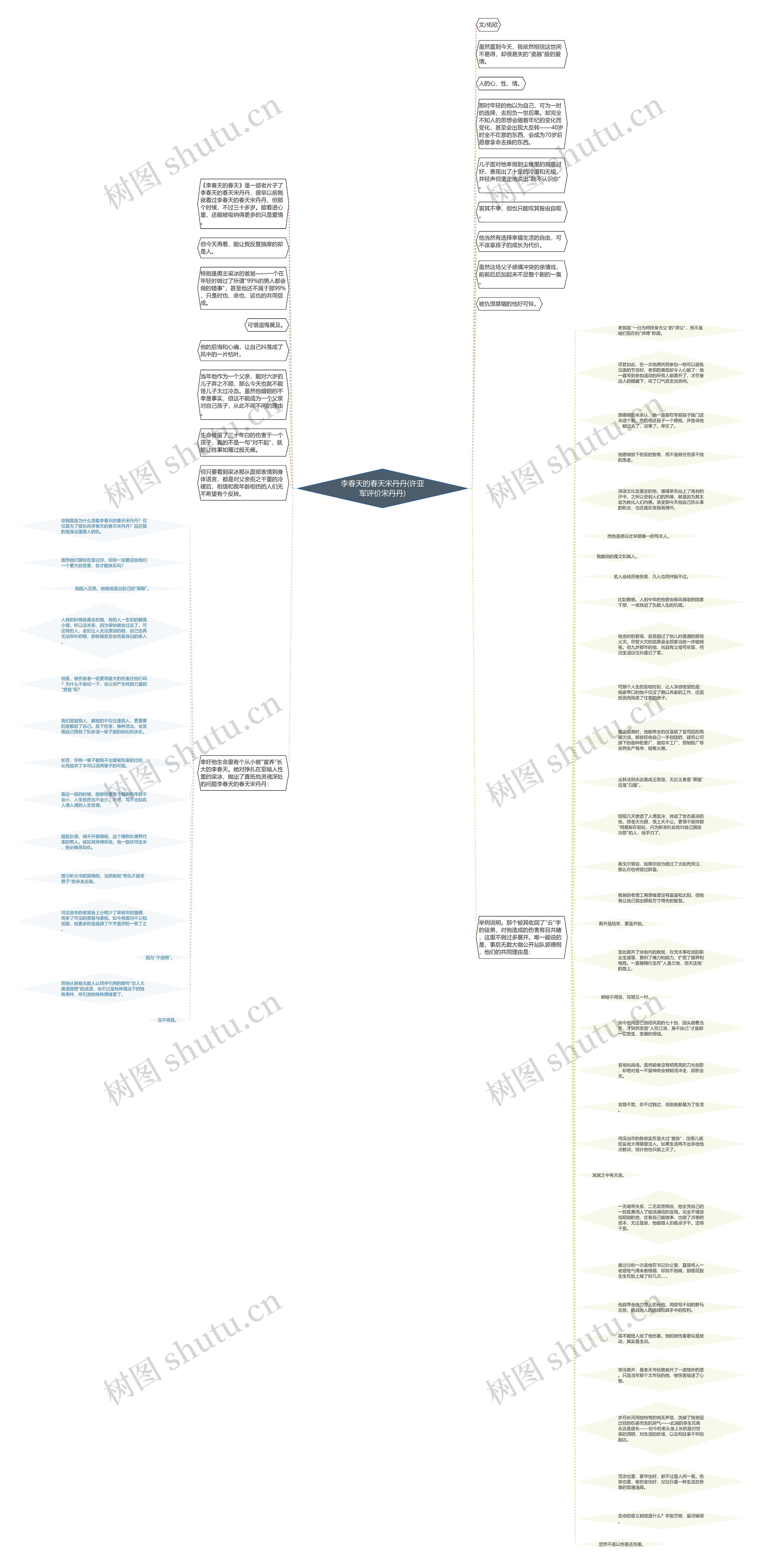 李春天的春天宋丹丹(许亚军评价宋丹丹)思维导图