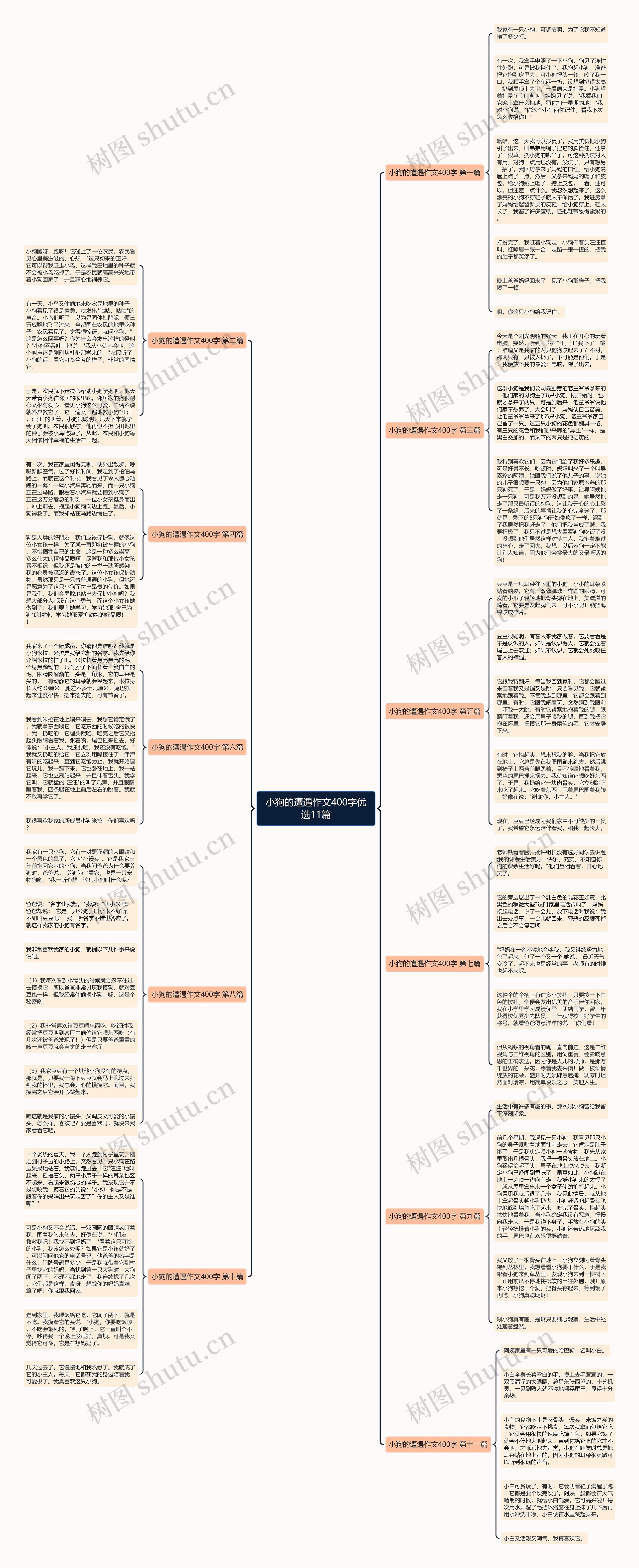小狗的遭遇作文400字优选11篇思维导图