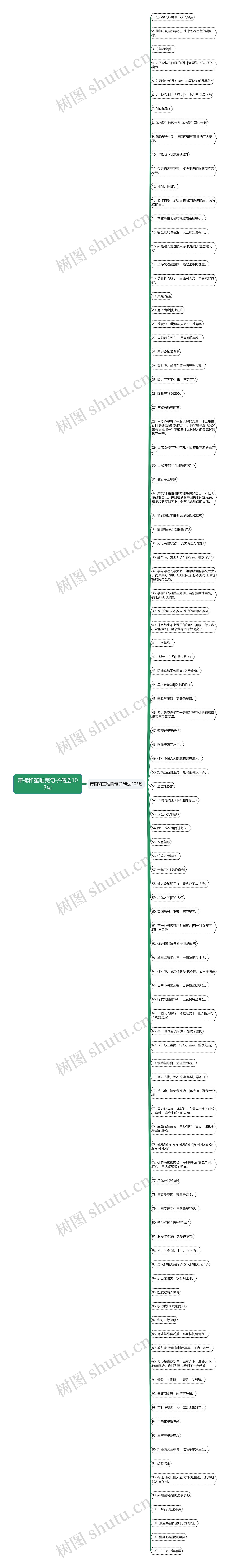 带楠和笙唯美句子精选103句思维导图