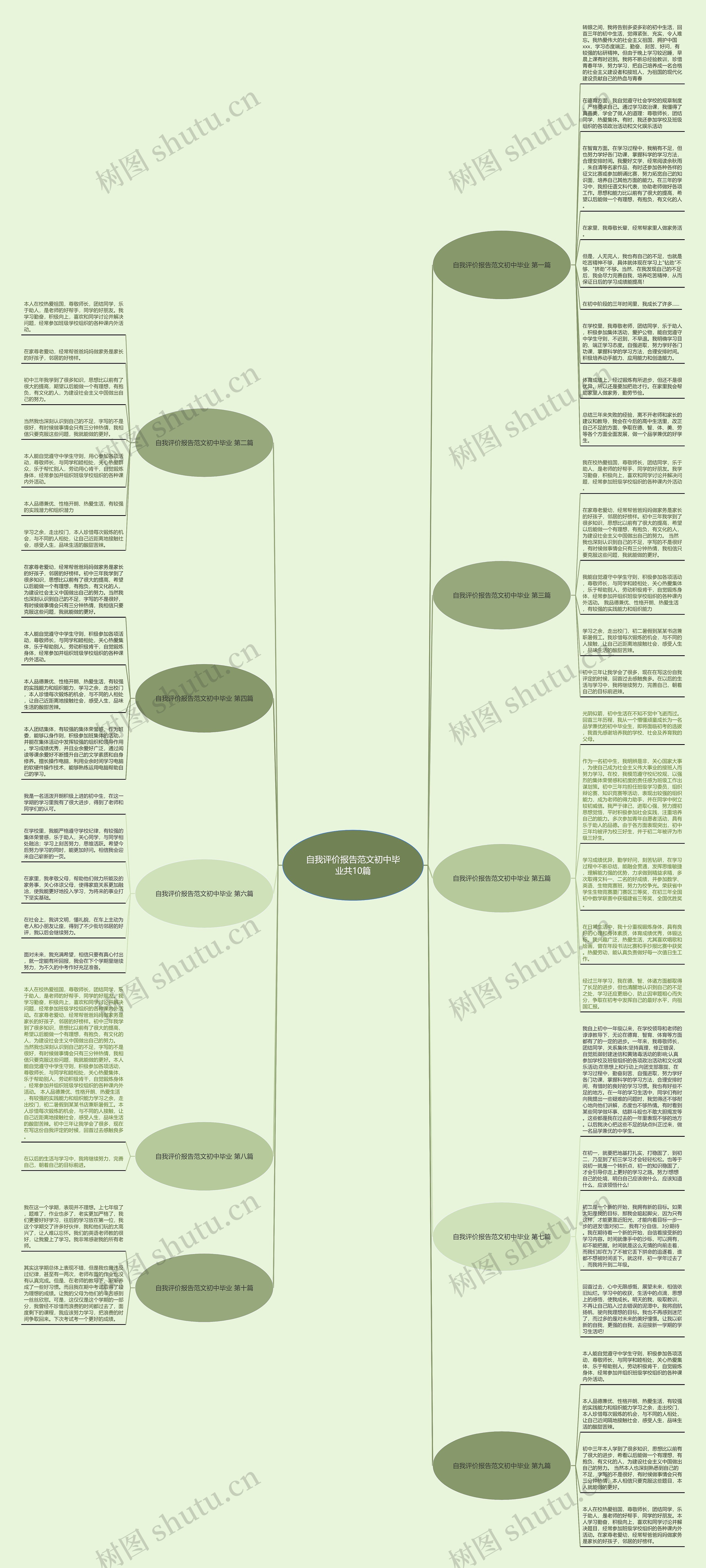 自我评价报告范文初中毕业共10篇思维导图