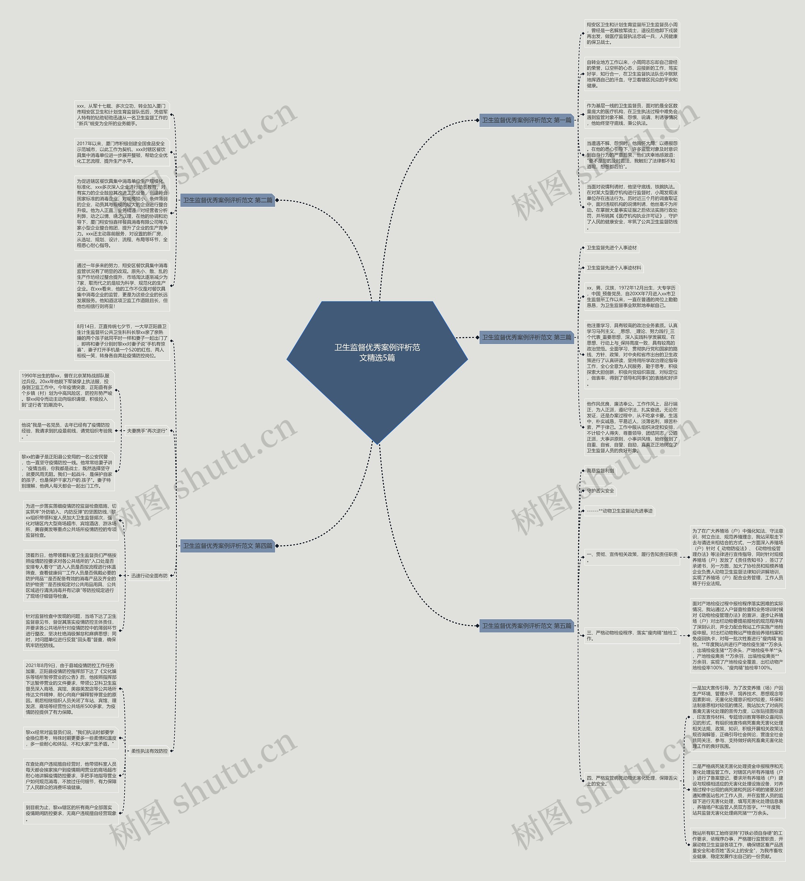 卫生监督优秀案例评析范文精选5篇思维导图