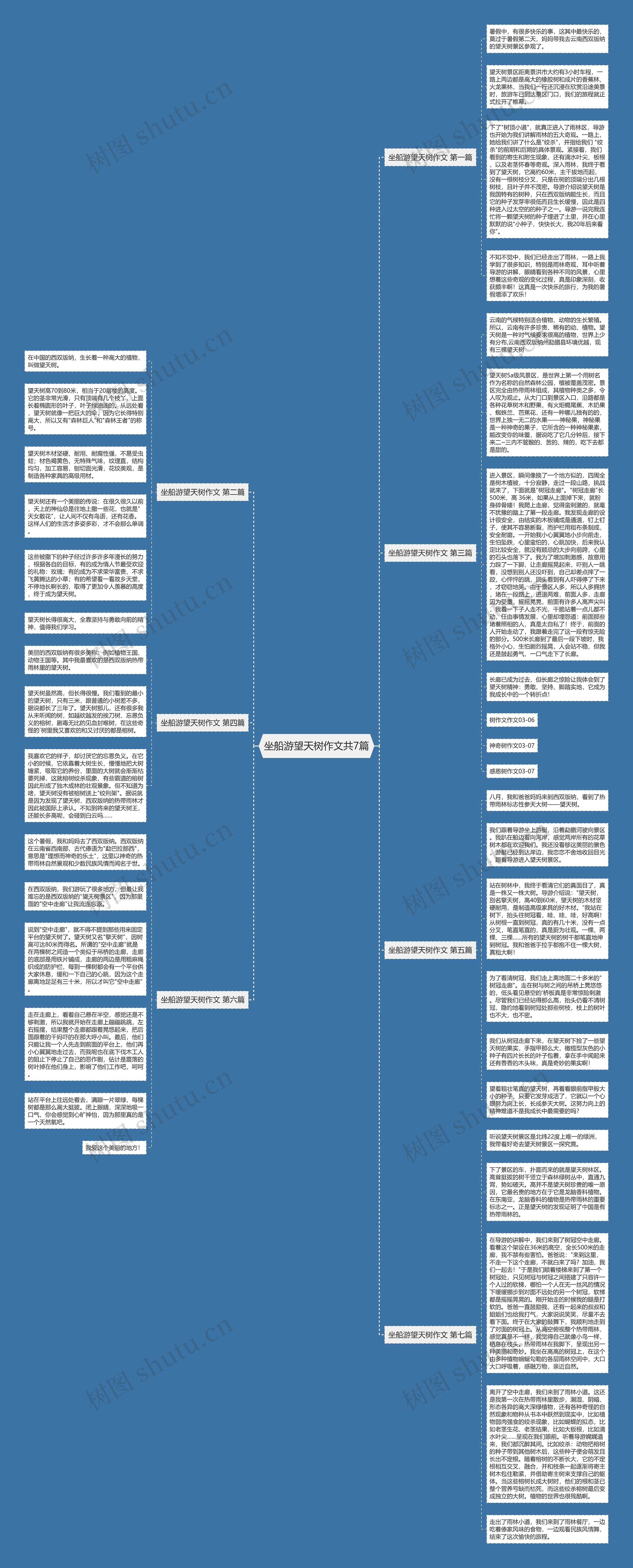 坐船游望天树作文共7篇思维导图
