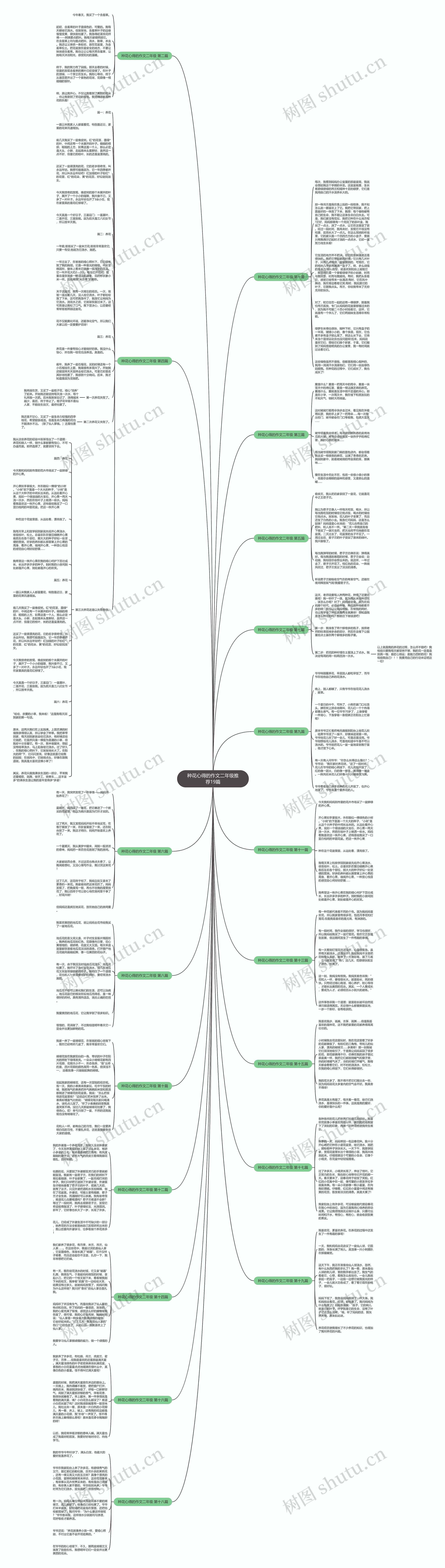 种花心得的作文二年级推荐19篇思维导图