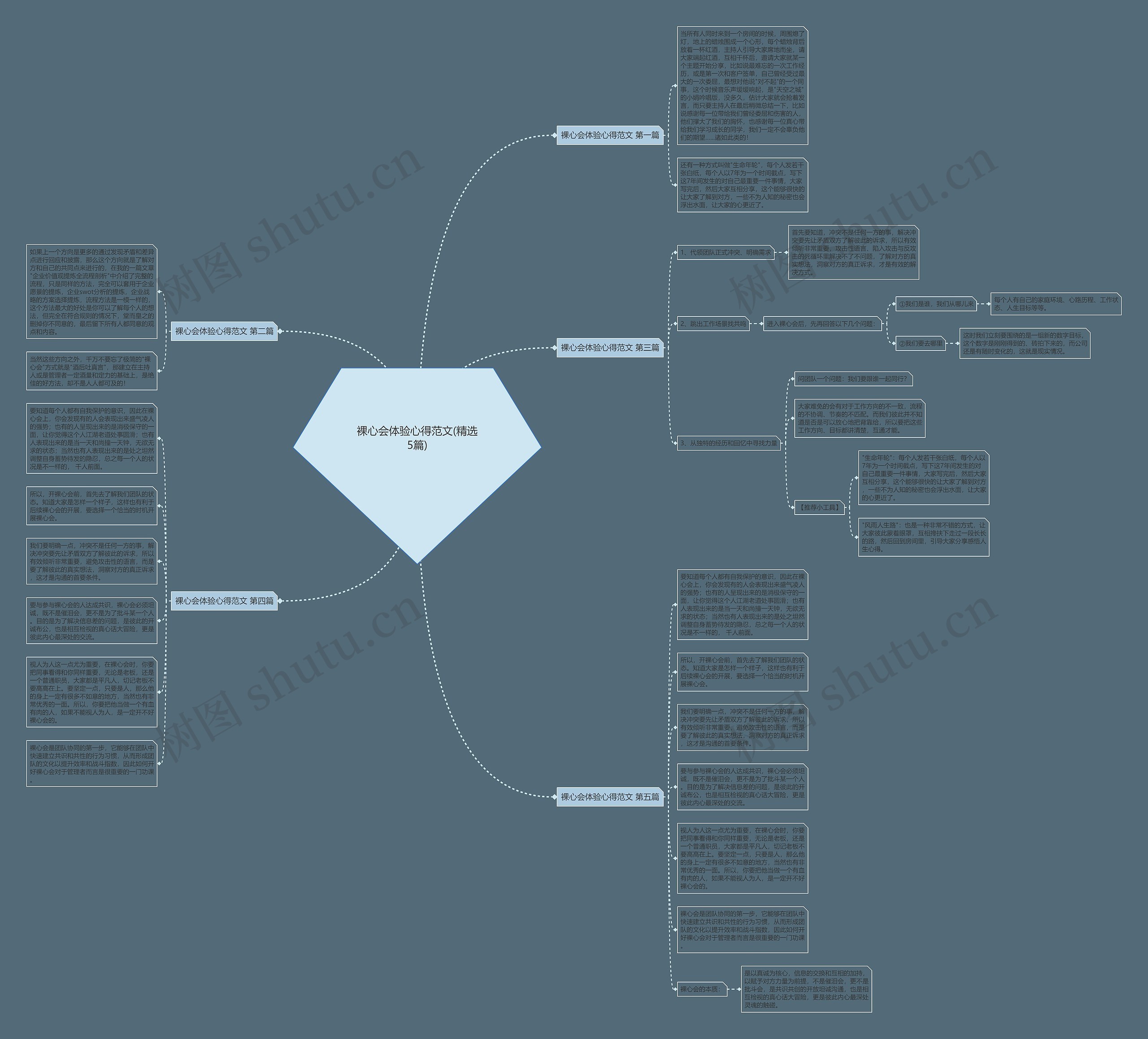 裸心会体验心得范文(精选5篇)思维导图
