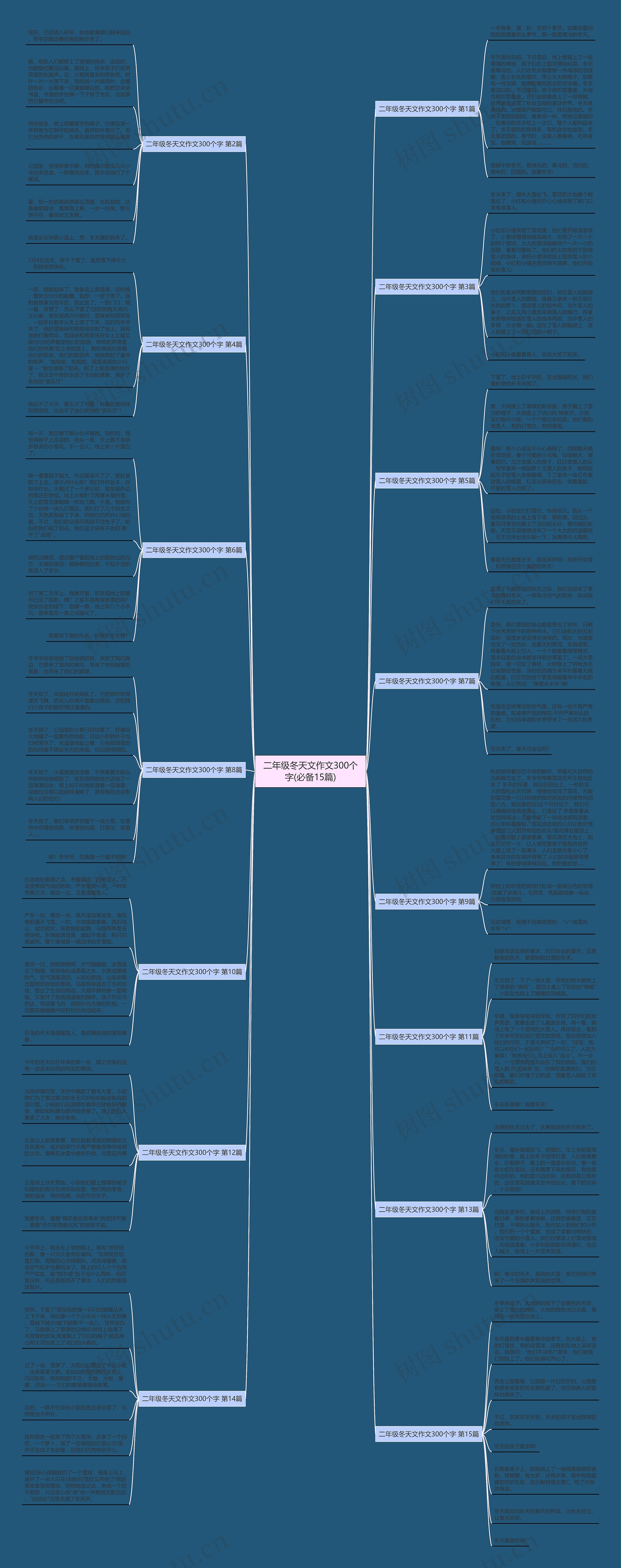 二年级冬天文作文300个字(必备15篇)思维导图