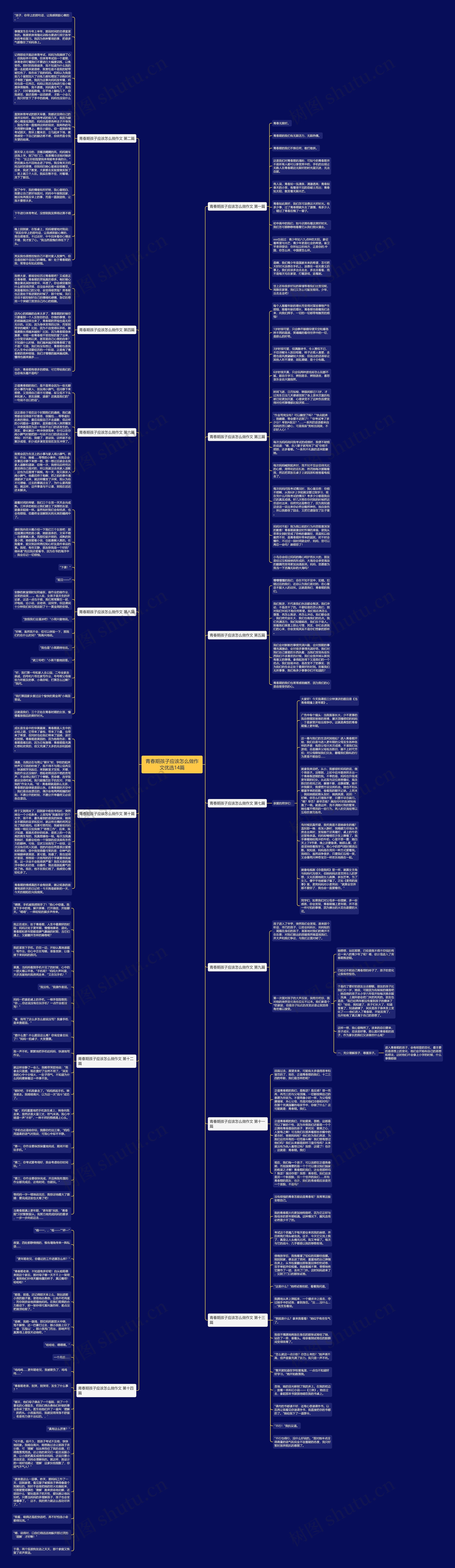 青春期孩子应该怎么做作文优选14篇思维导图