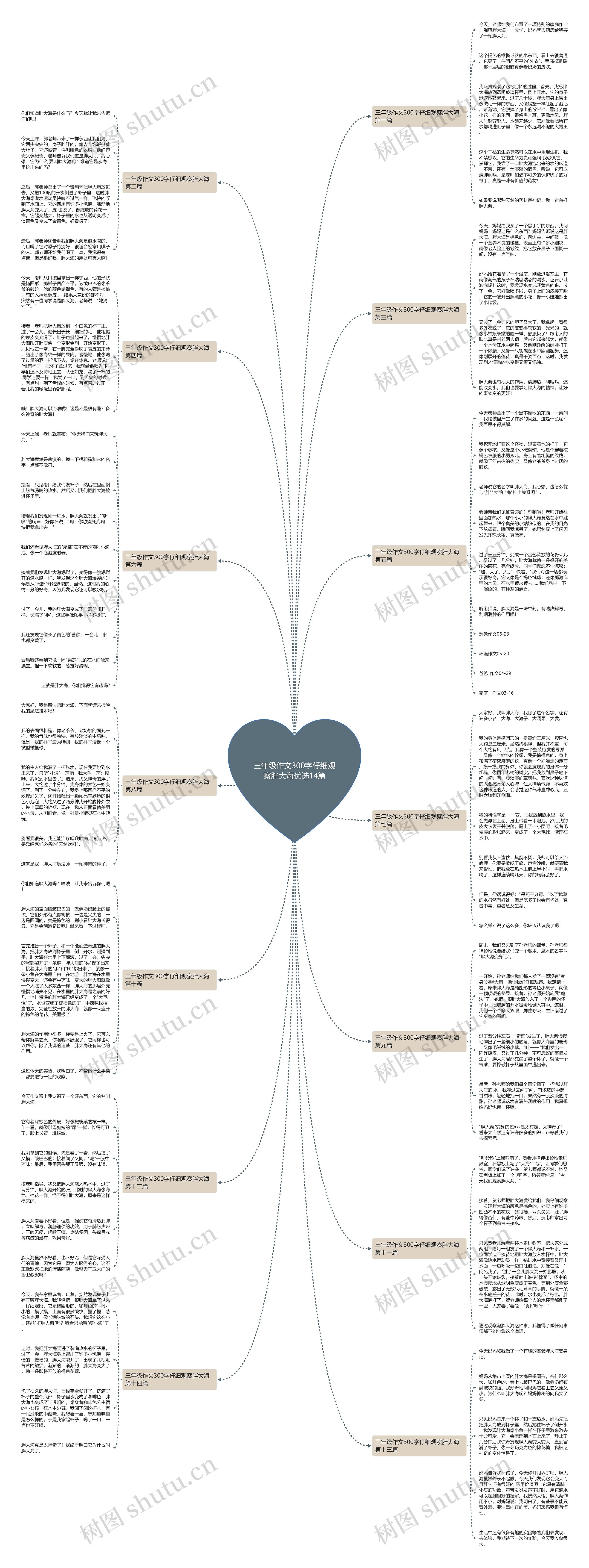 三年级作文300字仔细观察胖大海优选14篇 三年级作文300字仔细观察胖大海优选14篇