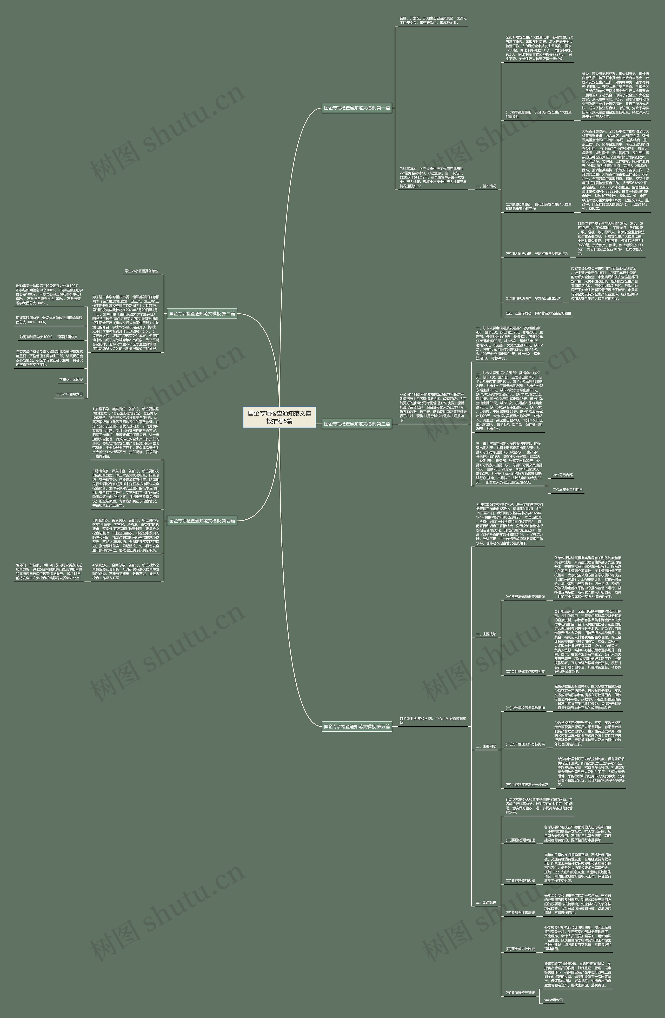 国企专项检查通知范文推荐5篇思维导图