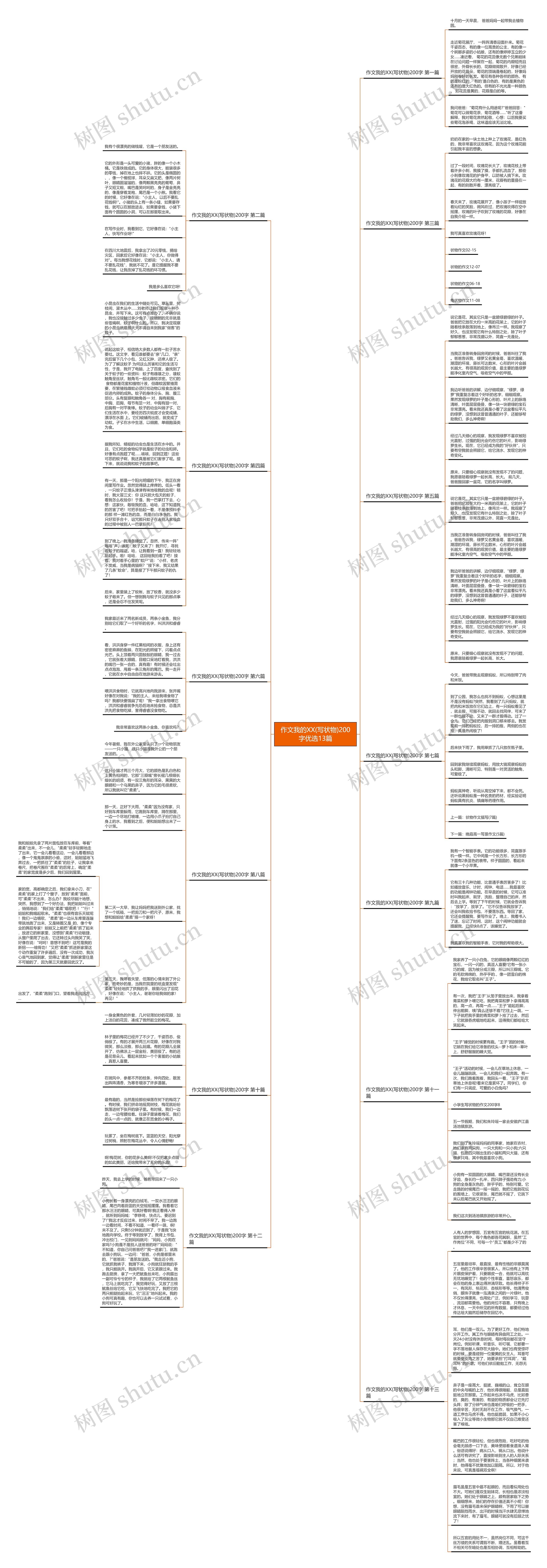 作文我的XX(写状物)200字优选13篇思维导图
