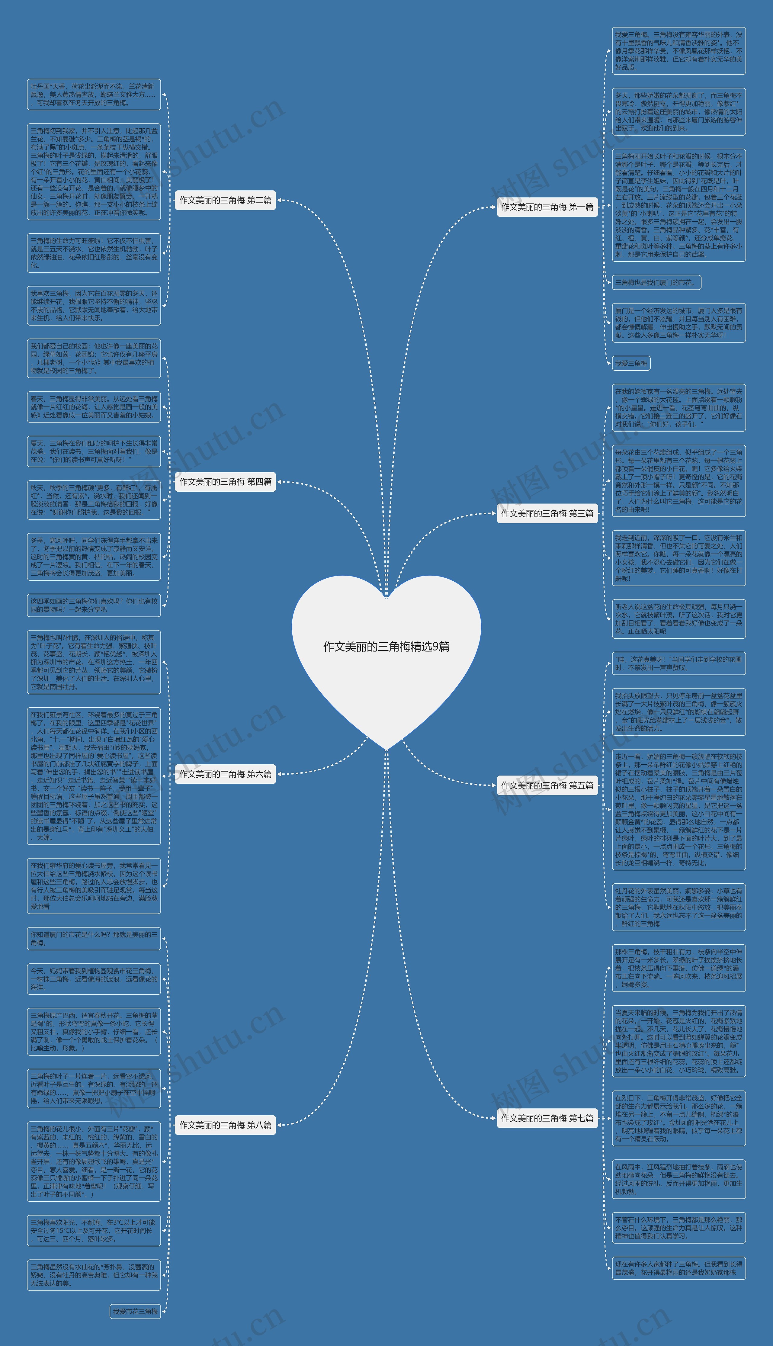 作文美丽的三角梅精选9篇思维导图