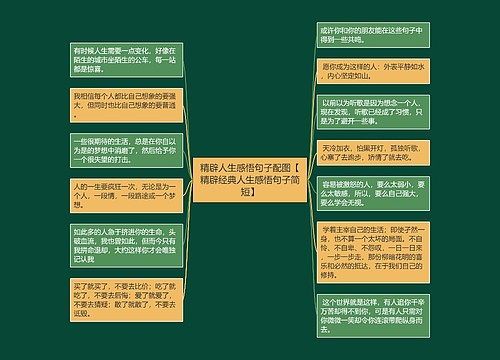 精辟人生感悟句子配图【精辟经典人生感悟句子简短】