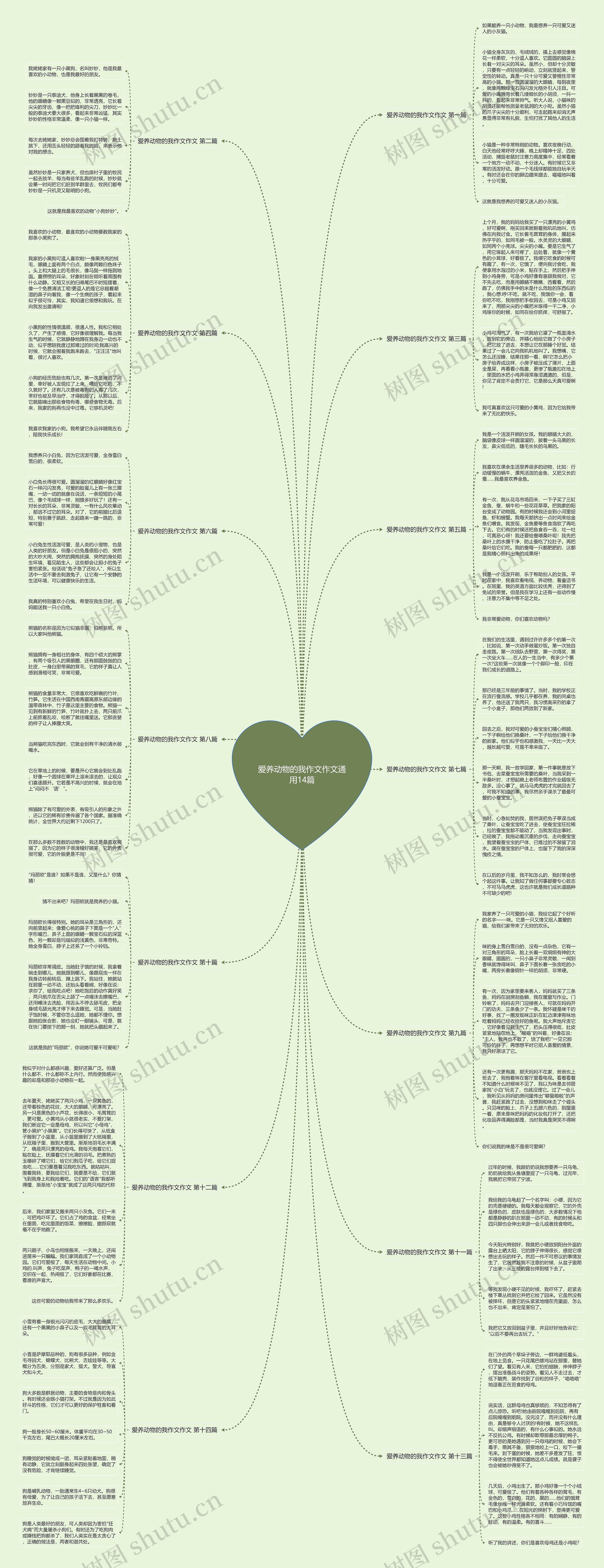 爱养动物的我作文作文通用14篇思维导图