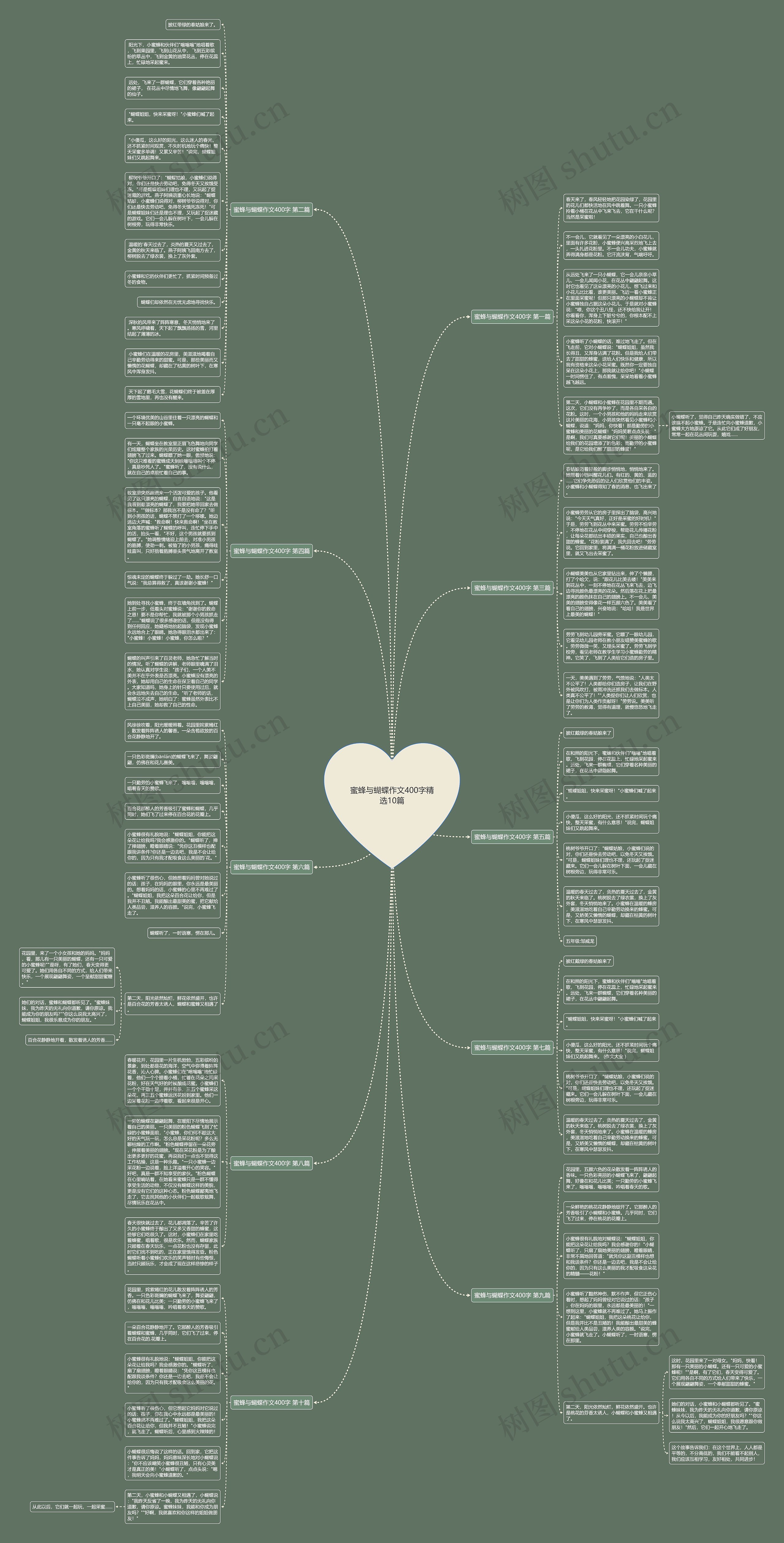 蜜蜂与蝴蝶作文400字精选10篇思维导图
