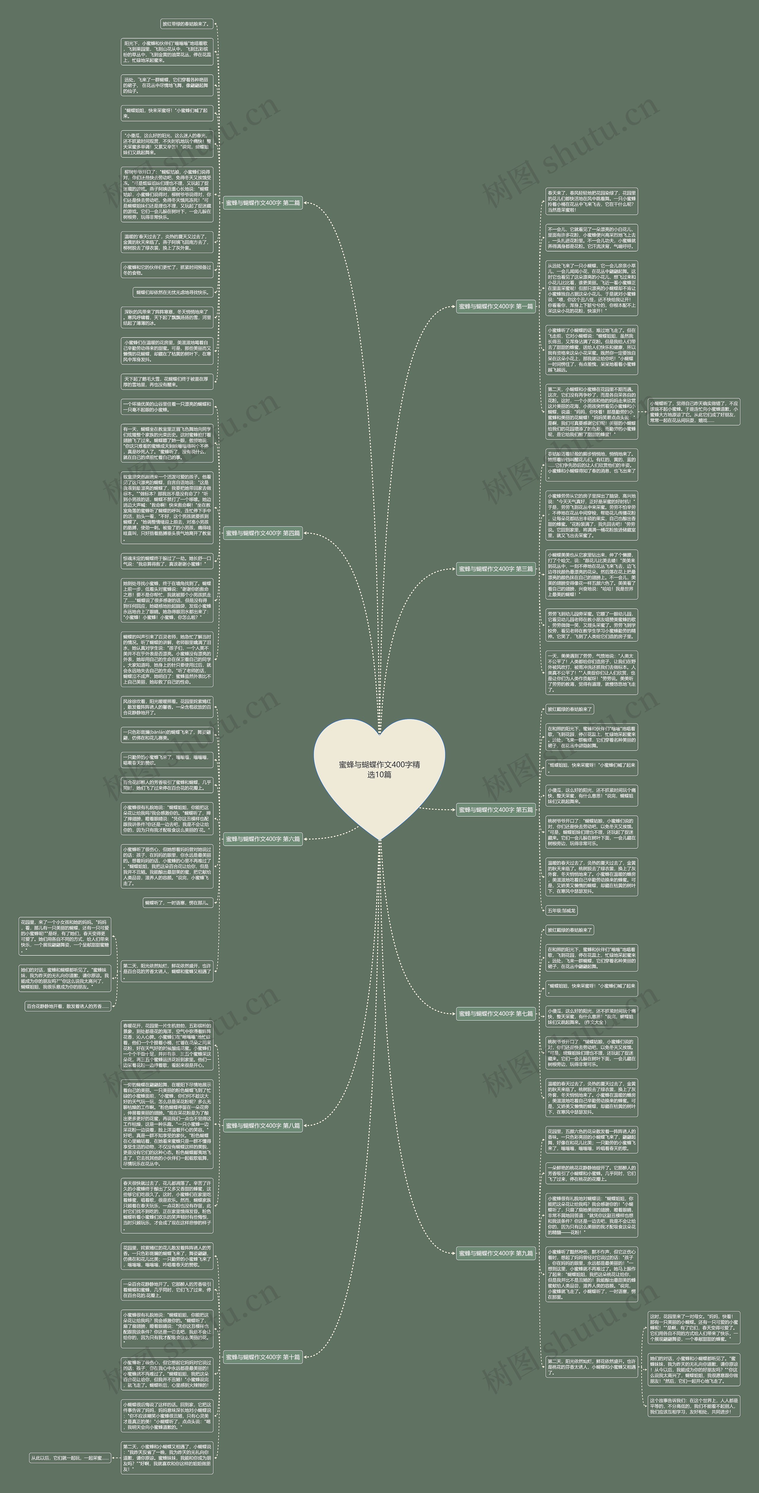 蜜蜂与蝴蝶作文400字精选10篇 蜜蜂与蝴蝶作文400字精选10篇