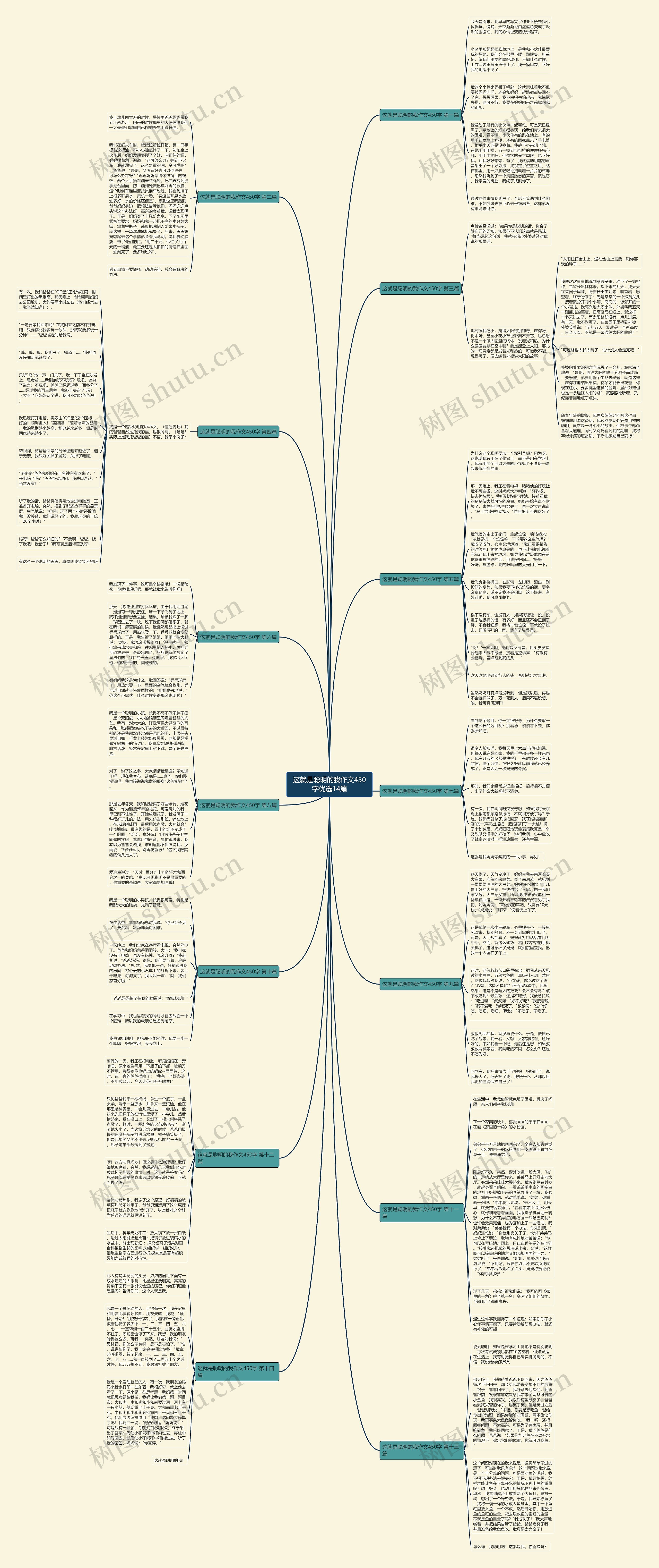 这就是聪明的我作文450字优选14篇思维导图