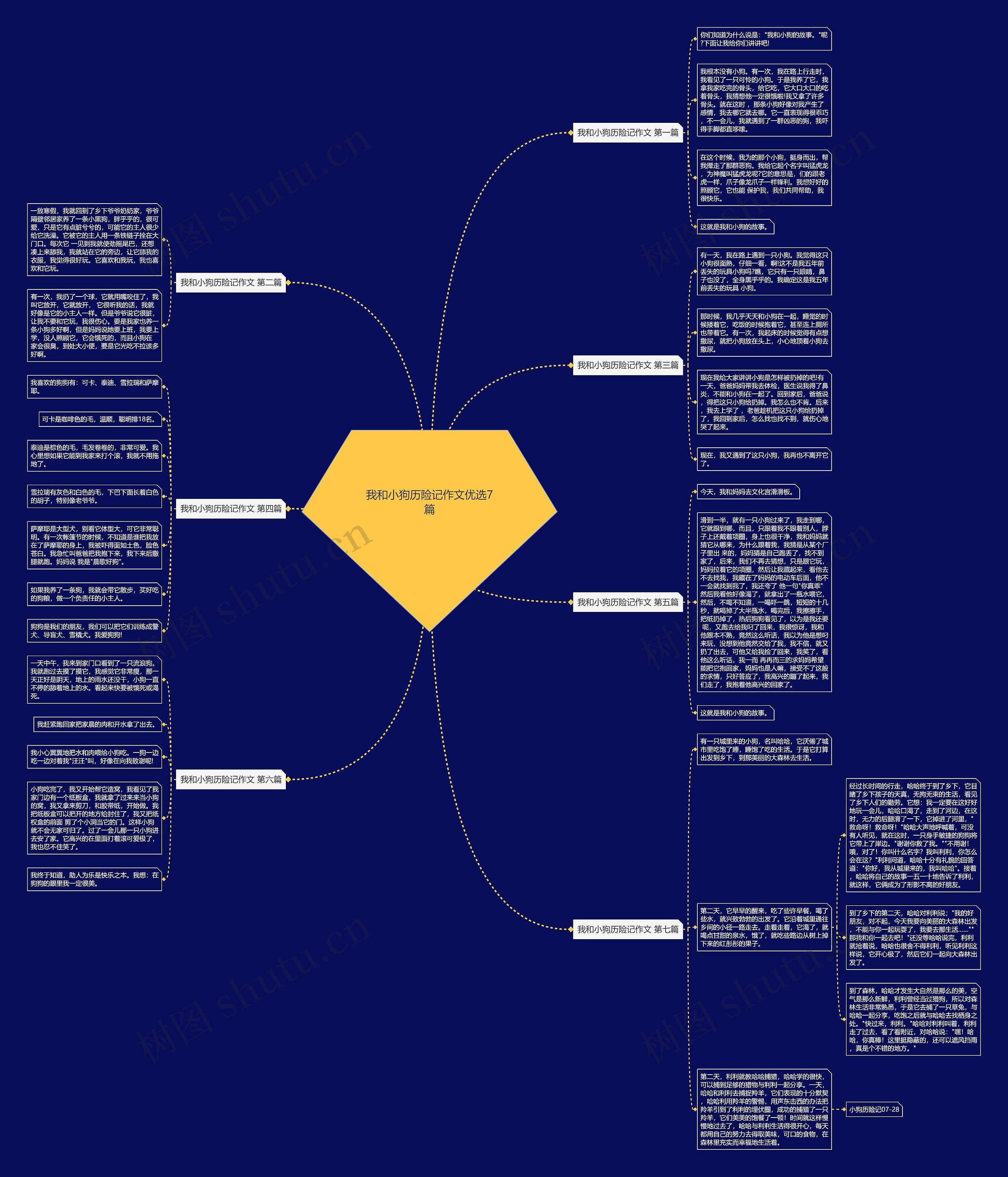 我和小狗历险记作文优选7篇思维导图