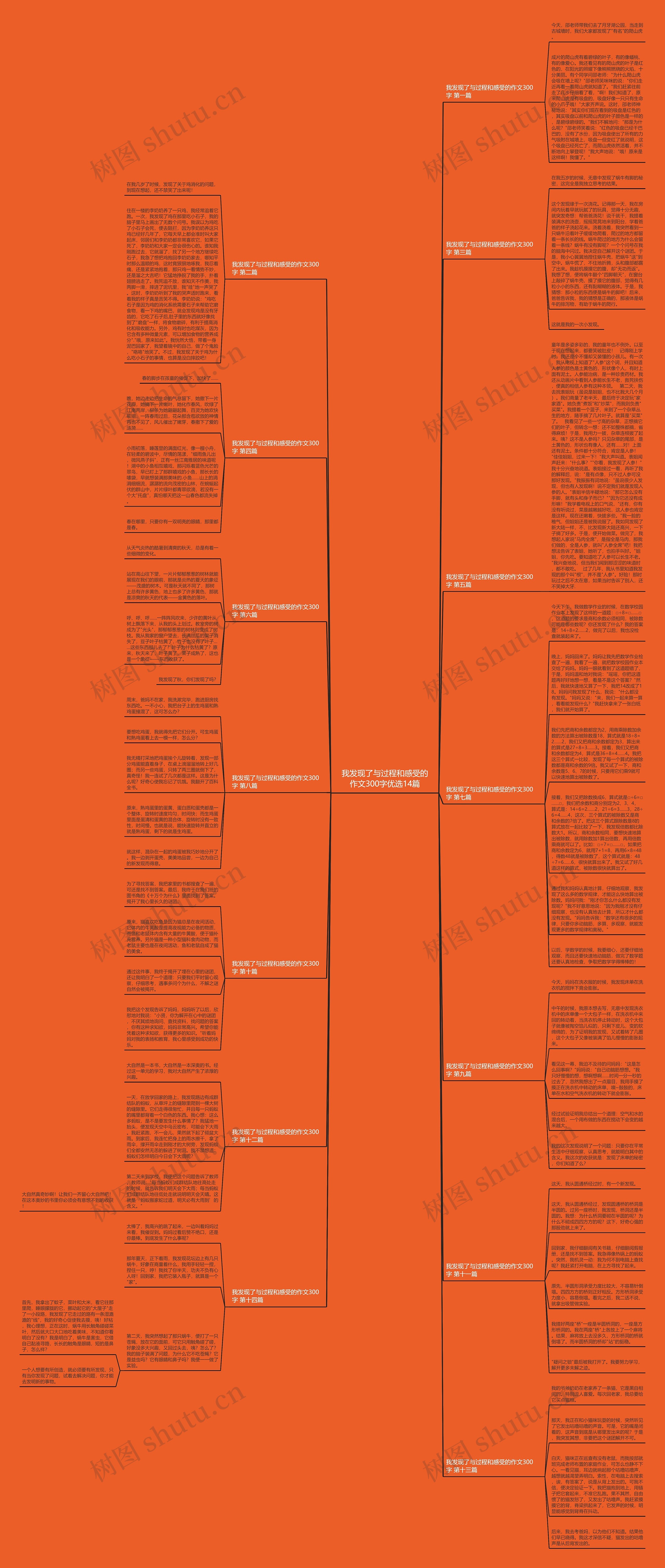 我发现了与过程和感受的作文300字优选14篇思维导图