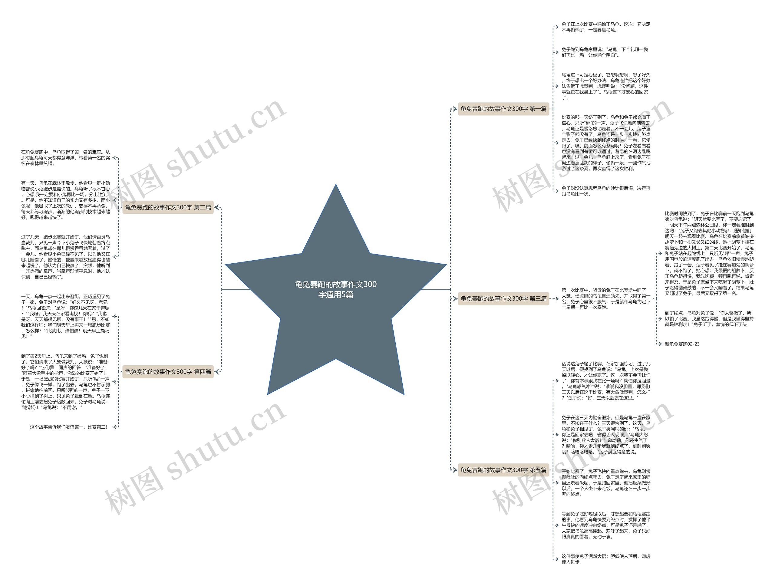 龟免赛跑的故事作文300字通用5篇 龟免赛跑的故事作文300字通用5篇