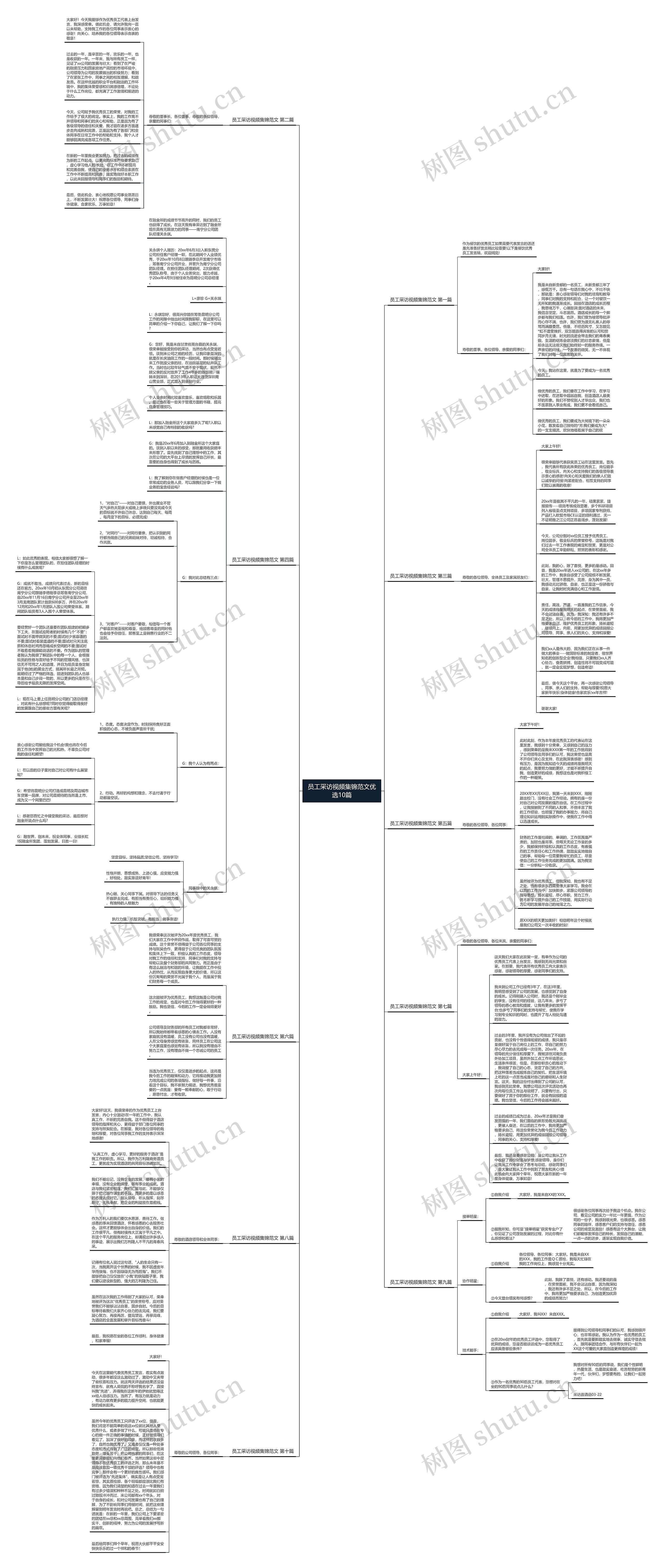 员工采访视频集锦范文优选10篇思维导图