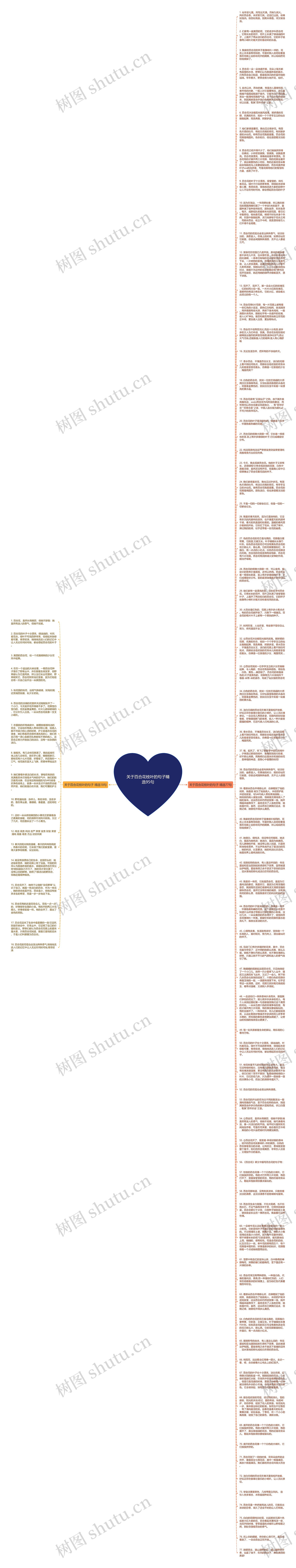 关于百合花枝叶的句子精选95句思维导图