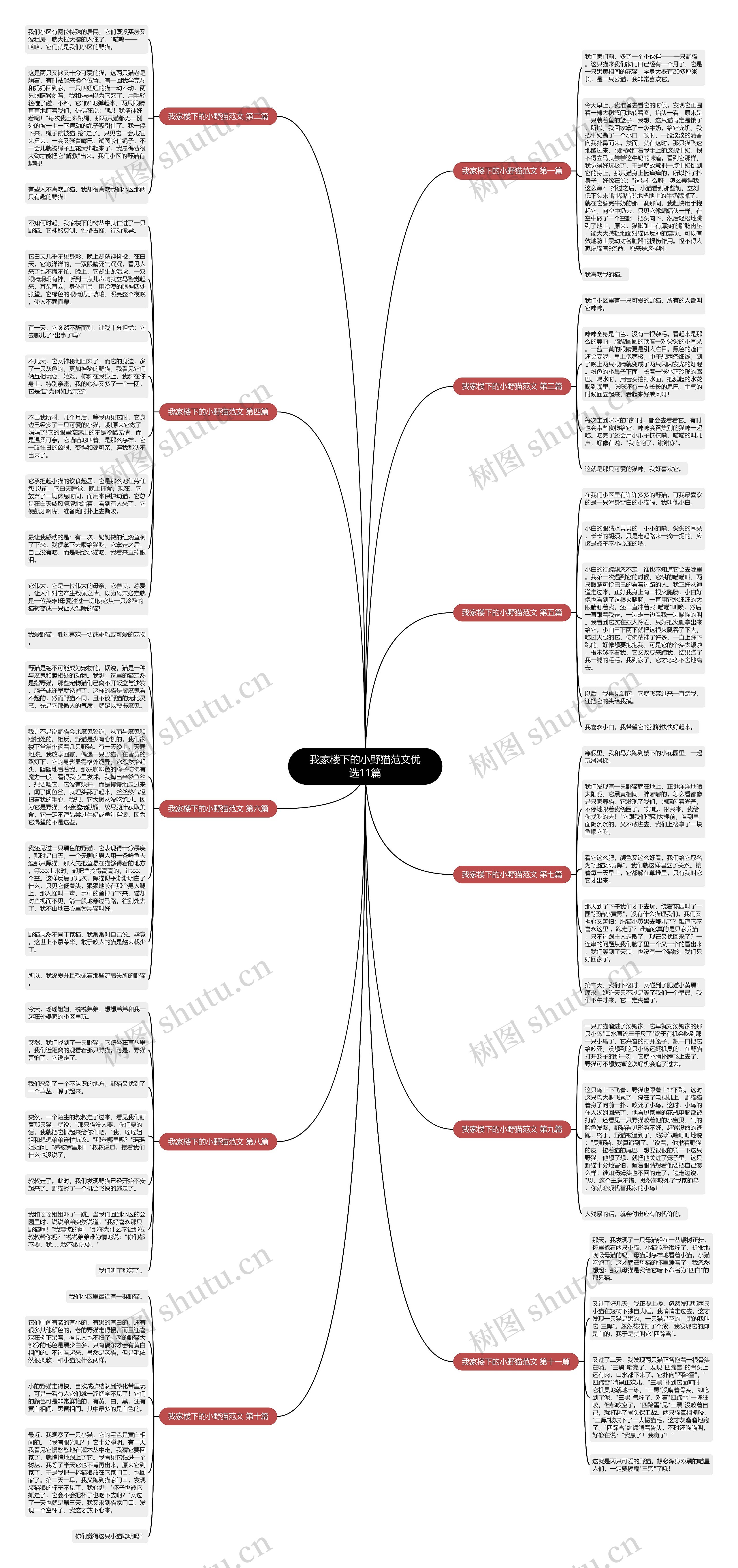 我家楼下的小野猫范文优选11篇思维导图