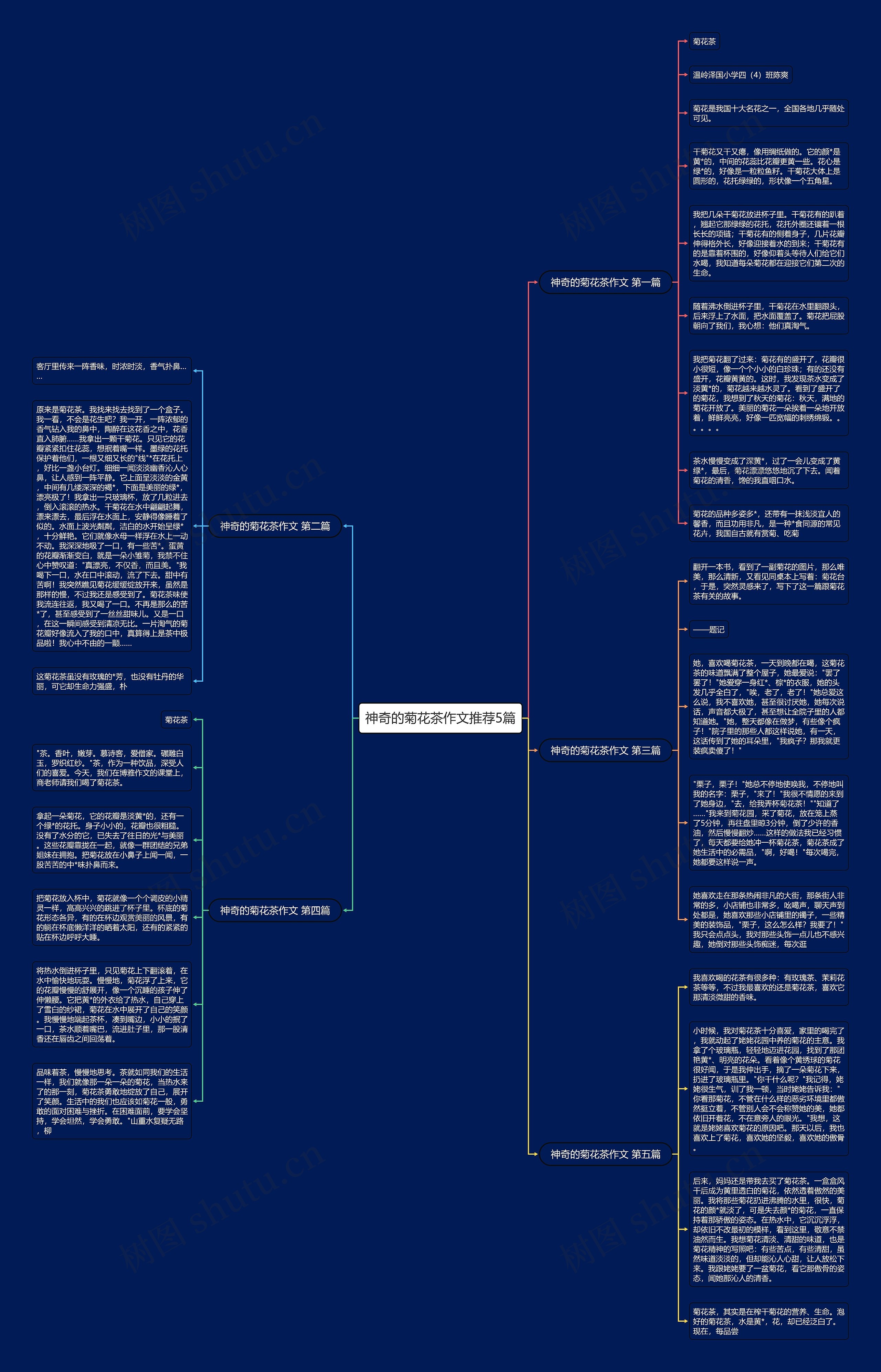 神奇的菊花茶作文推荐5篇思维导图