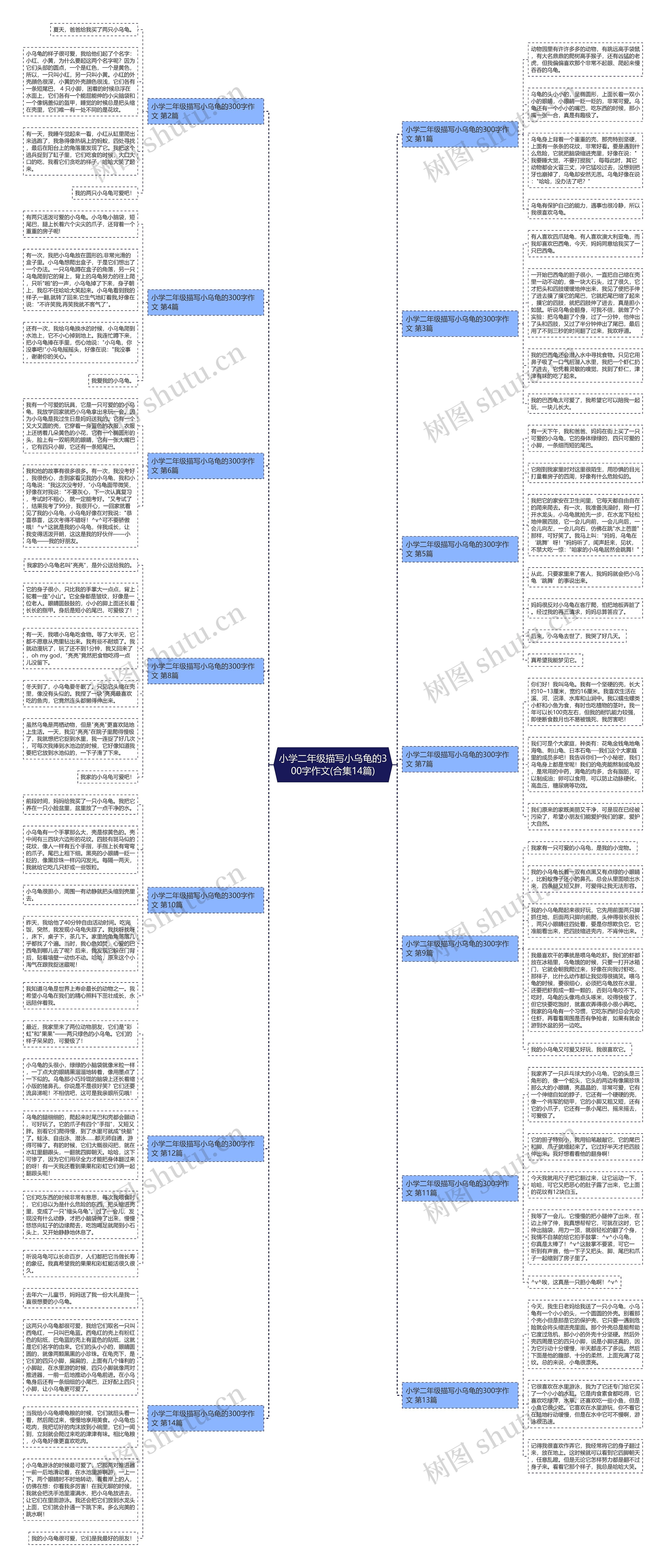 小学二年级描写小乌龟的300字作文(合集14篇)思维导图