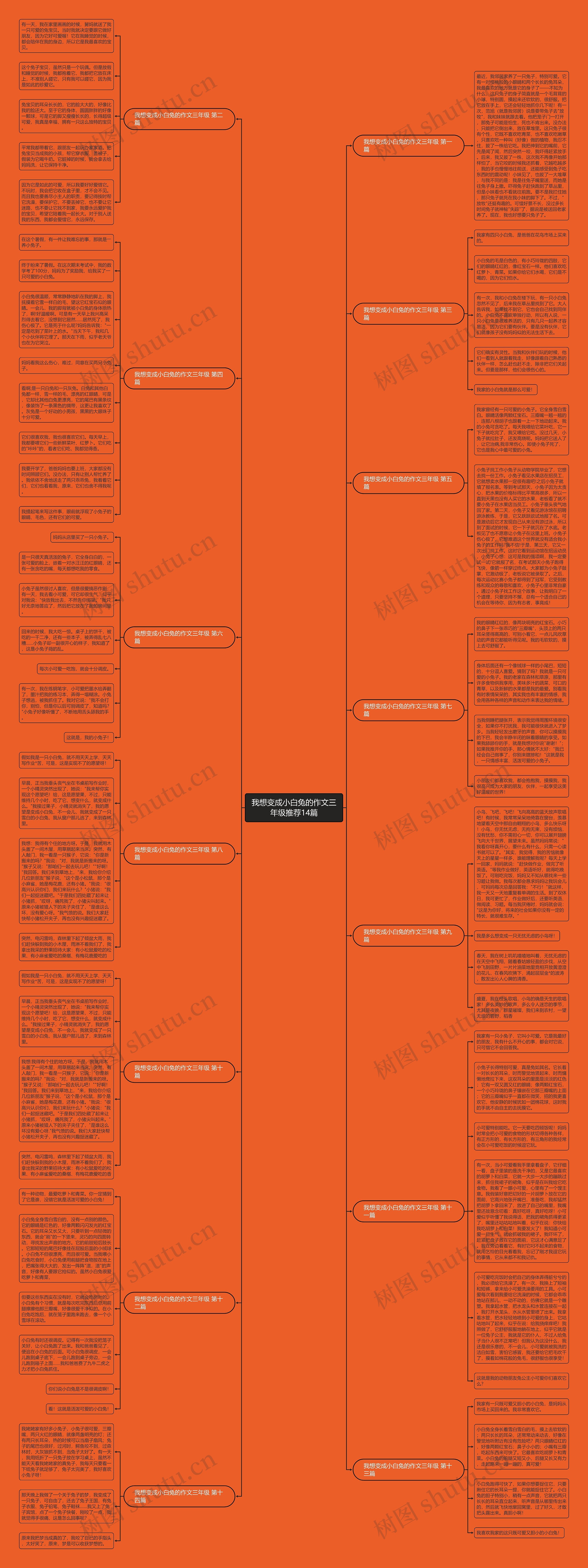 我想变成小白兔的作文三年级推荐14篇思维导图