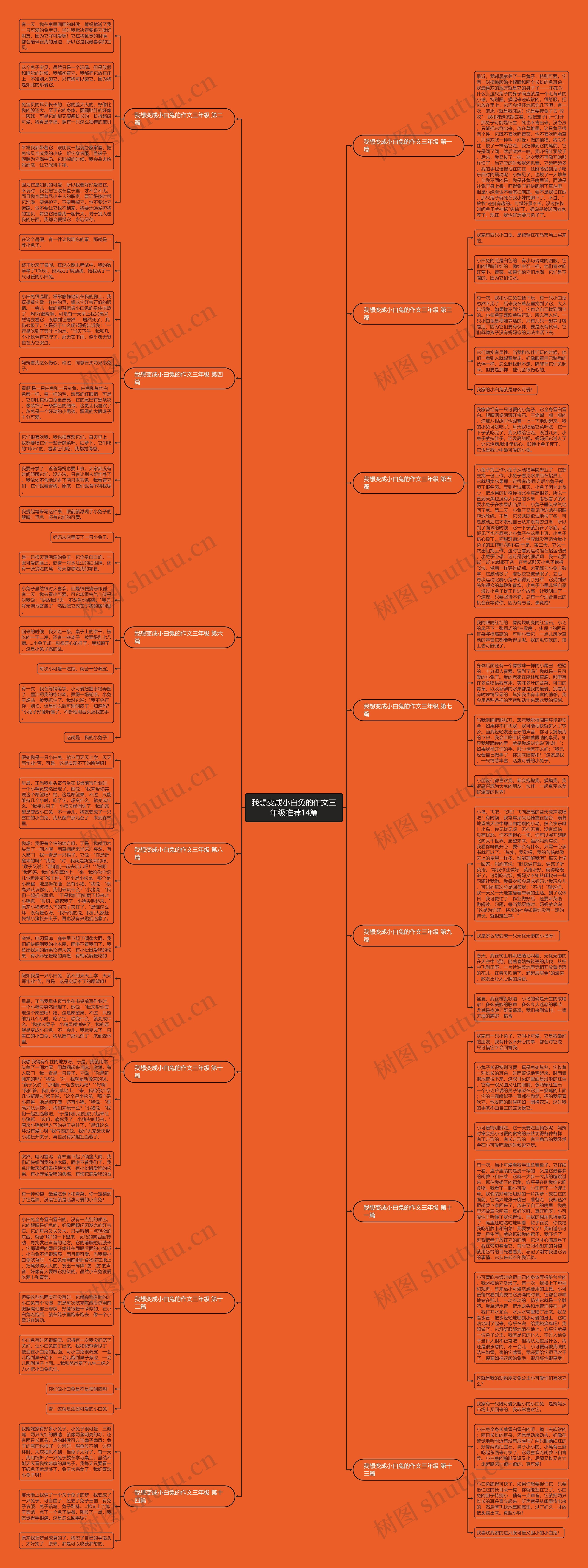 我想变成小白兔的作文三年级推荐14篇 我想变成小白兔的作文三年级推荐14篇