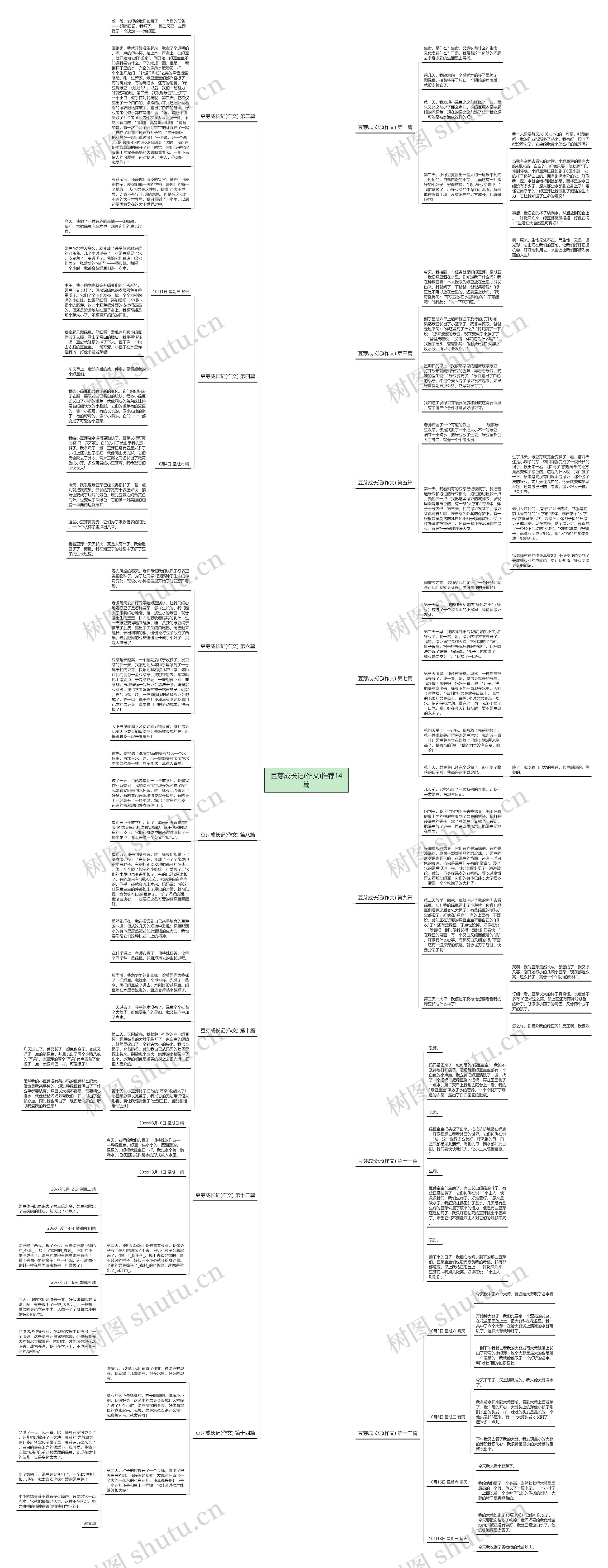 豆芽成长记(作文)推荐14篇思维导图