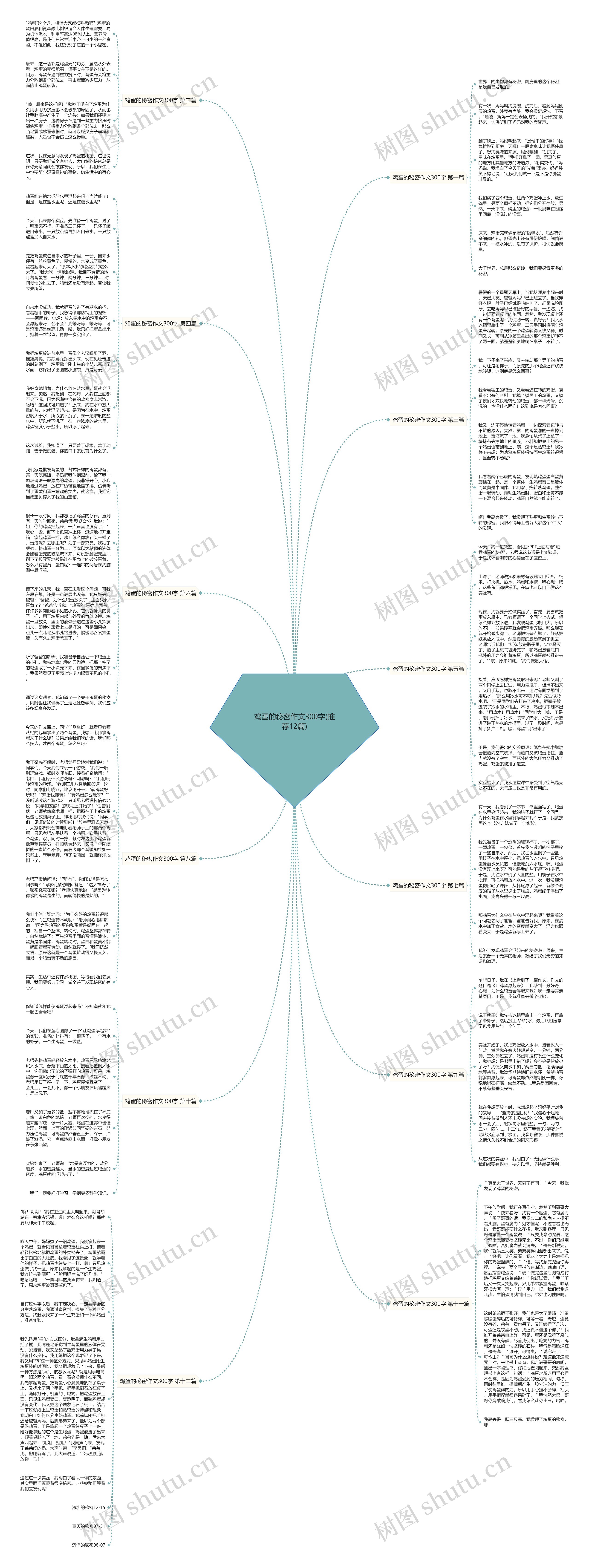 鸡蛋的秘密作文300字(推荐12篇)思维导图